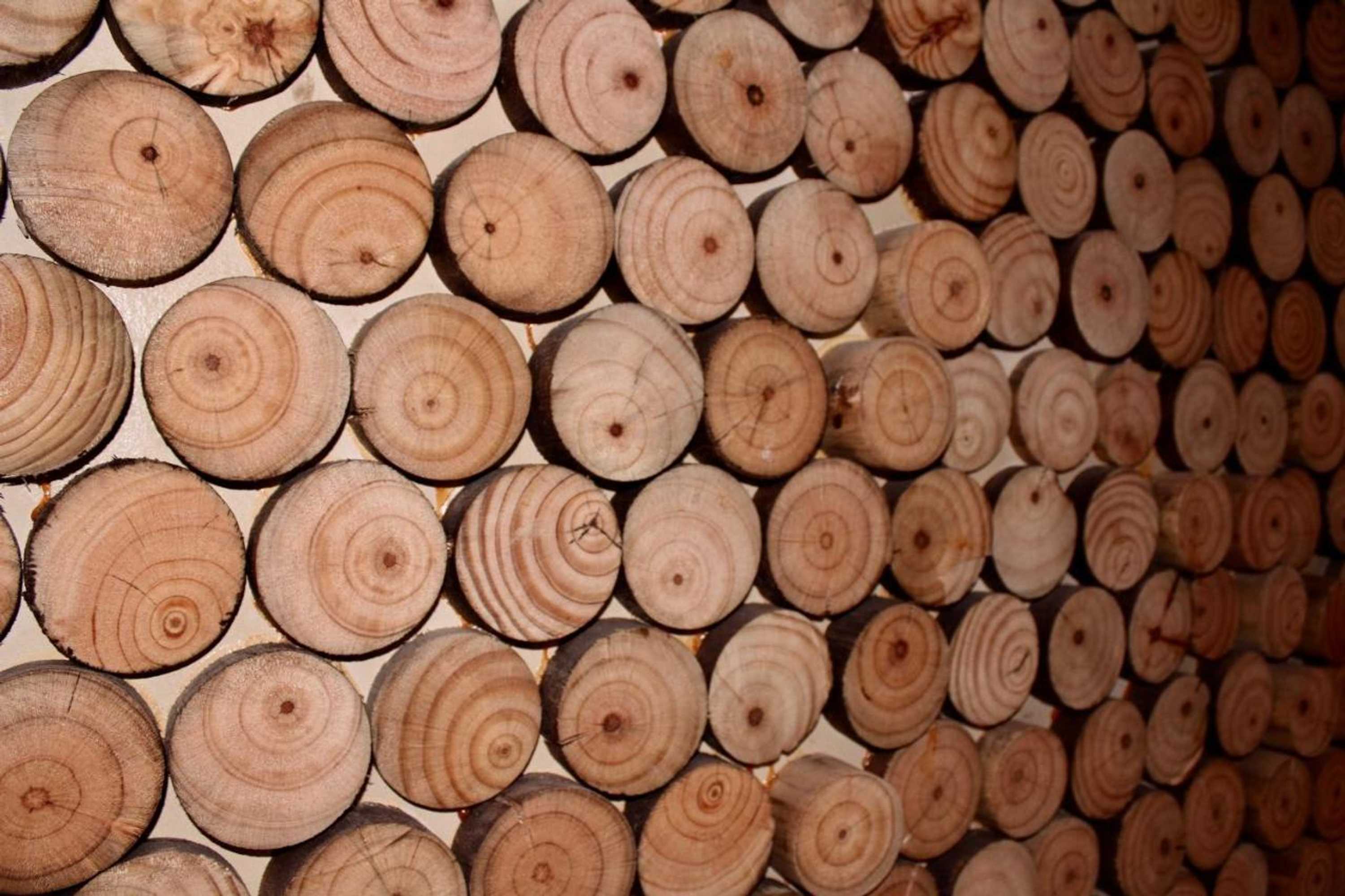 Gift card for Hotel Manada Del Desierto Gift card for Hotel Manada Del Desierto