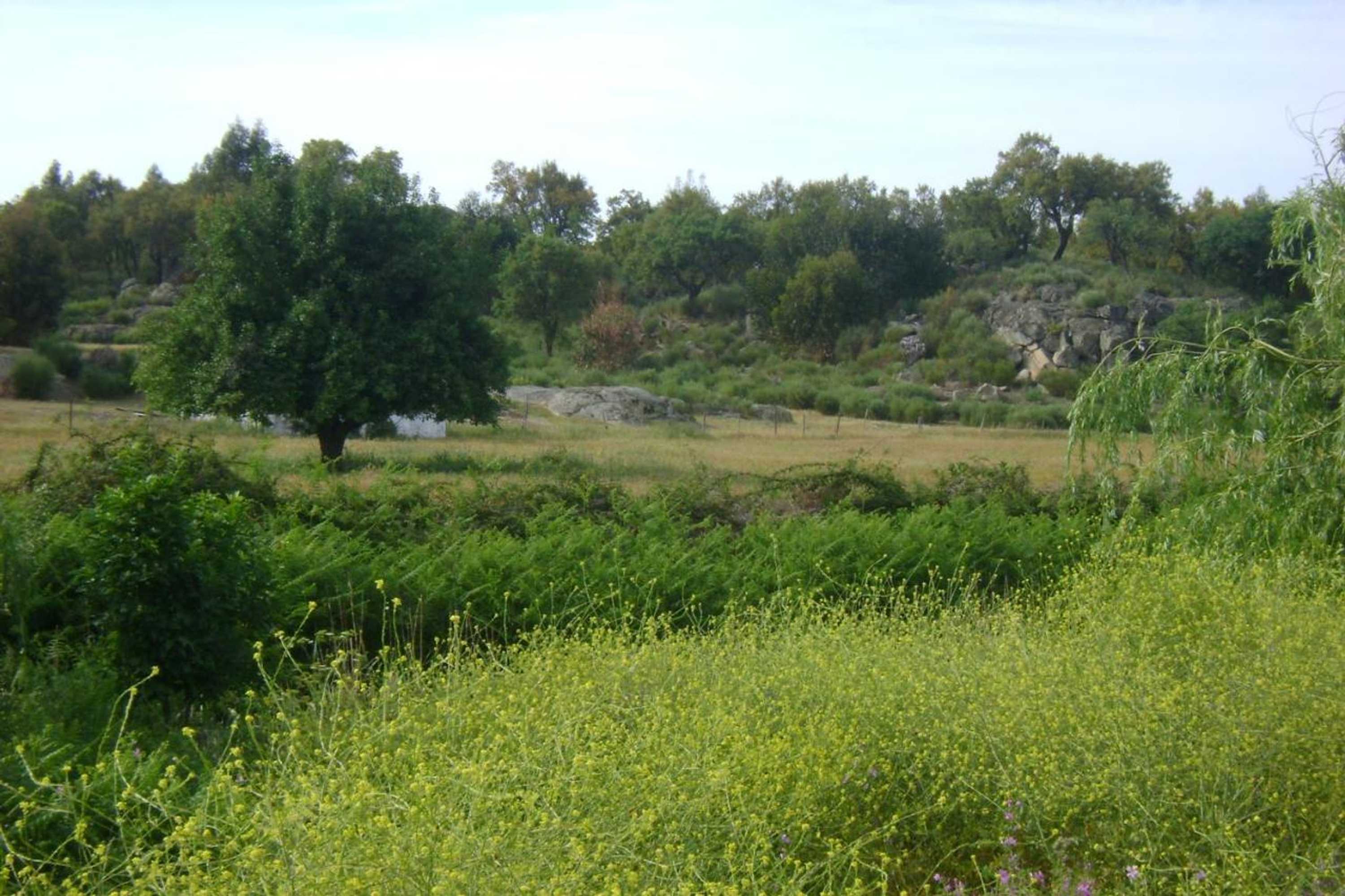 Gift card for Tapada da Beirã