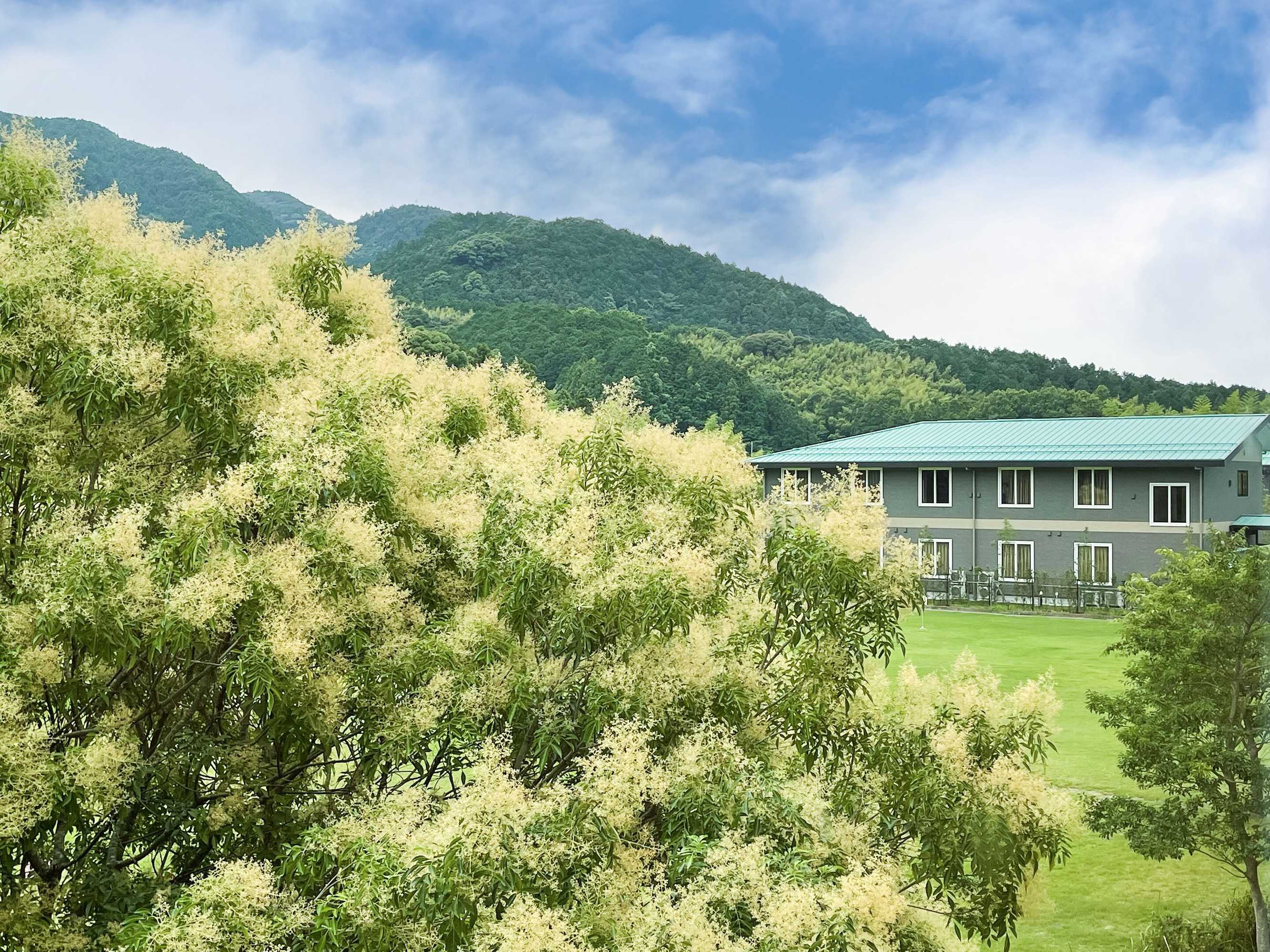 Gift card for Route-Inn Grantia Fukuokamiyawaka-Wakitaonsen- Gift card for Route-Inn Grantia Fukuokamiyawaka-Wakitaonsen-