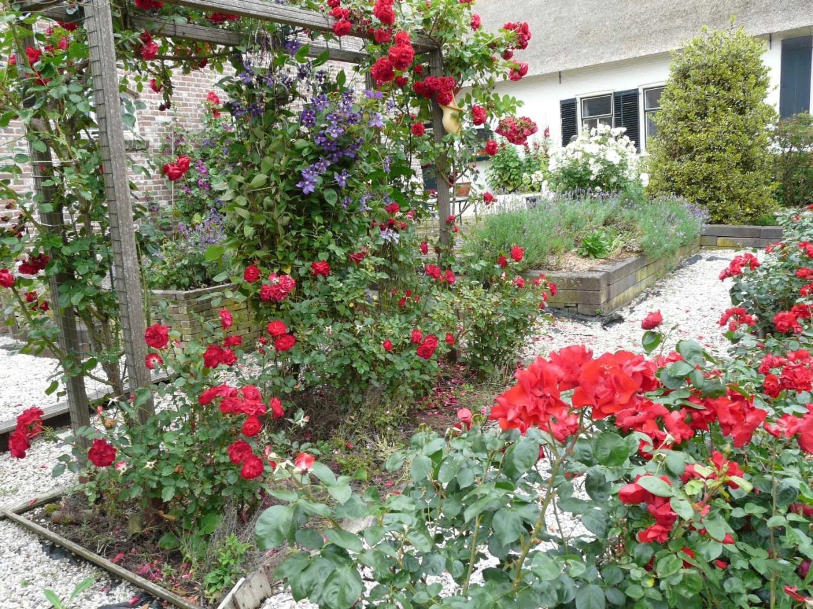 Gift card for De Boomgaard Groene Hart