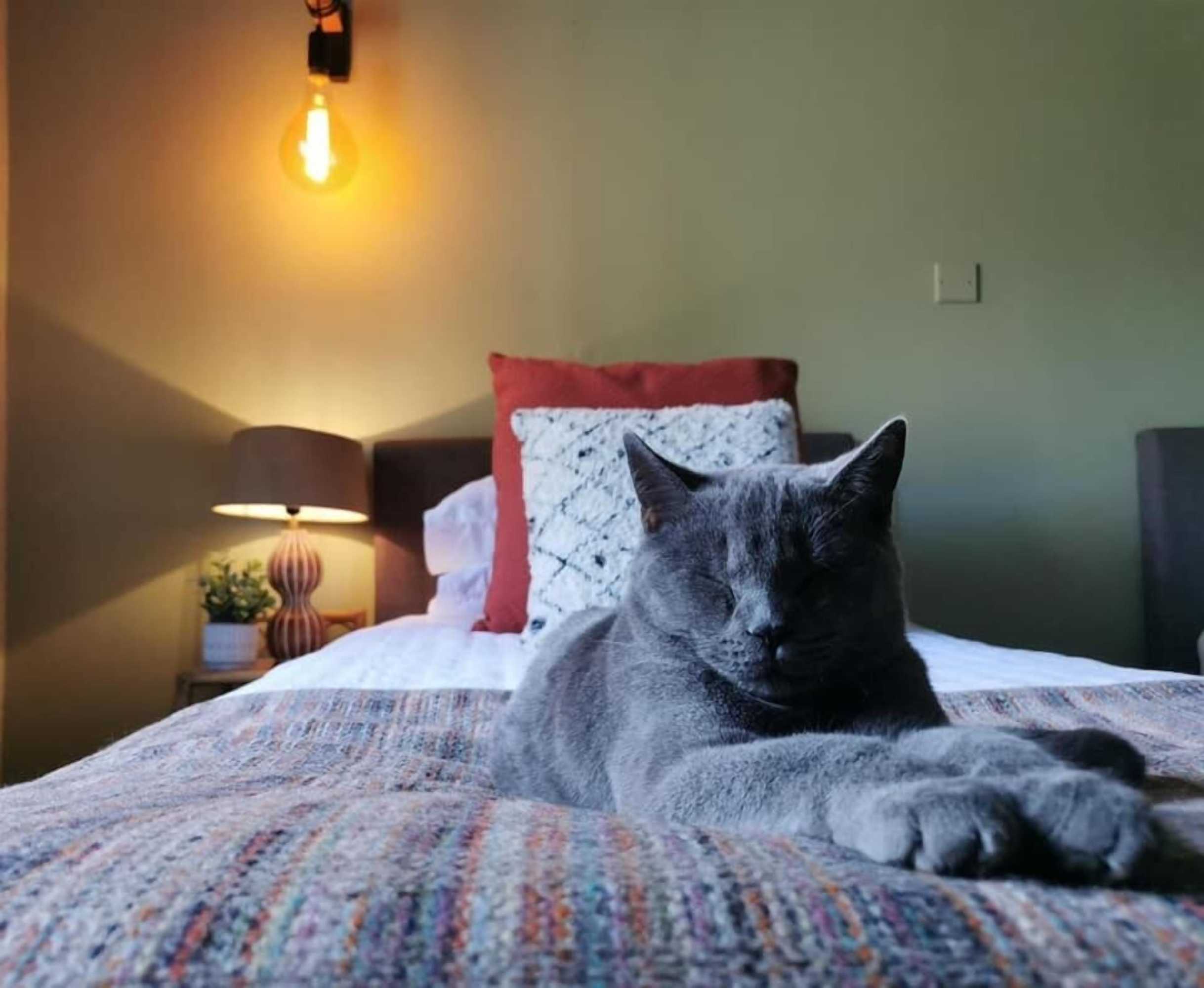 Gift card for The Cross Keys