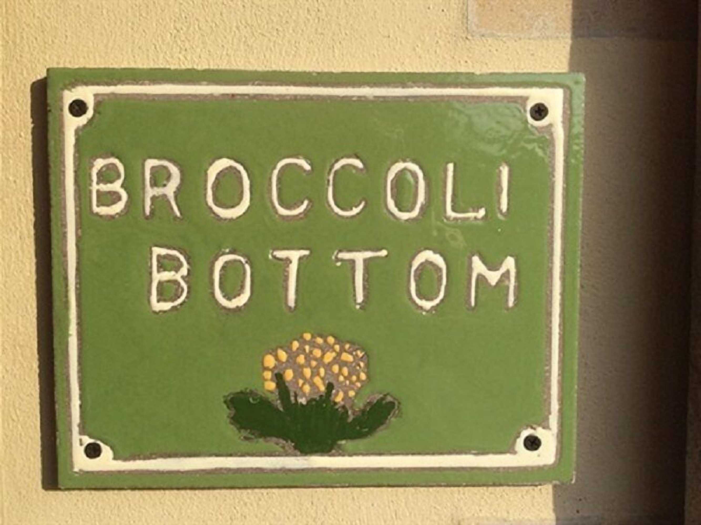 Gift card for Broccoli Bottom