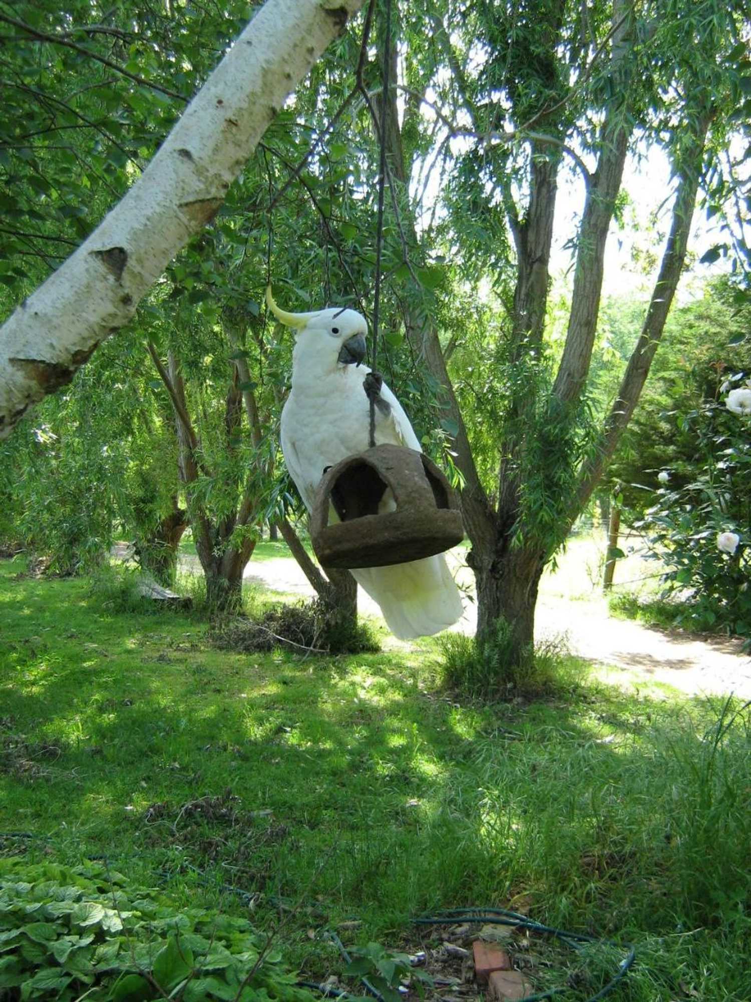 Gift card for Summerhill Farm B&b