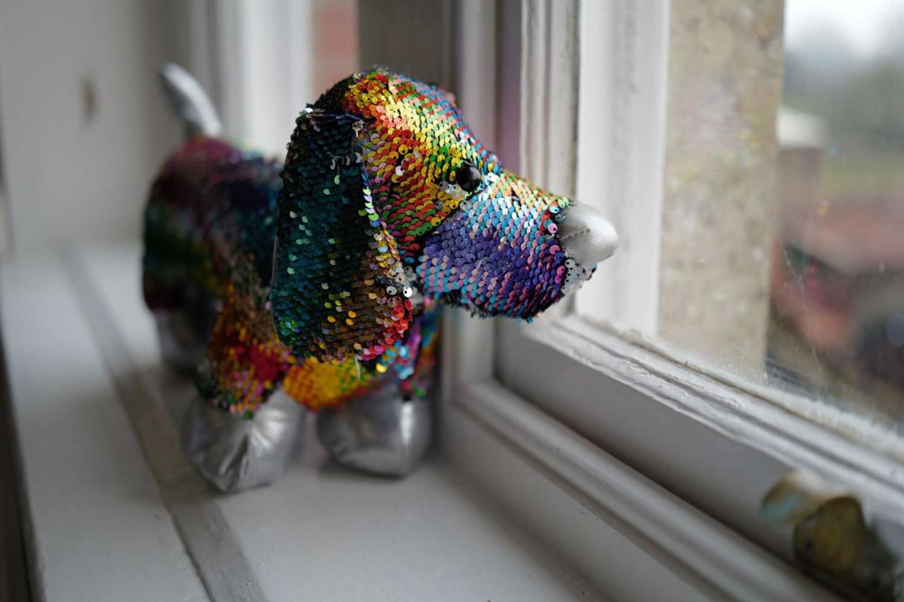 Gift card for Knoll Hill Farm, The Place To Stay