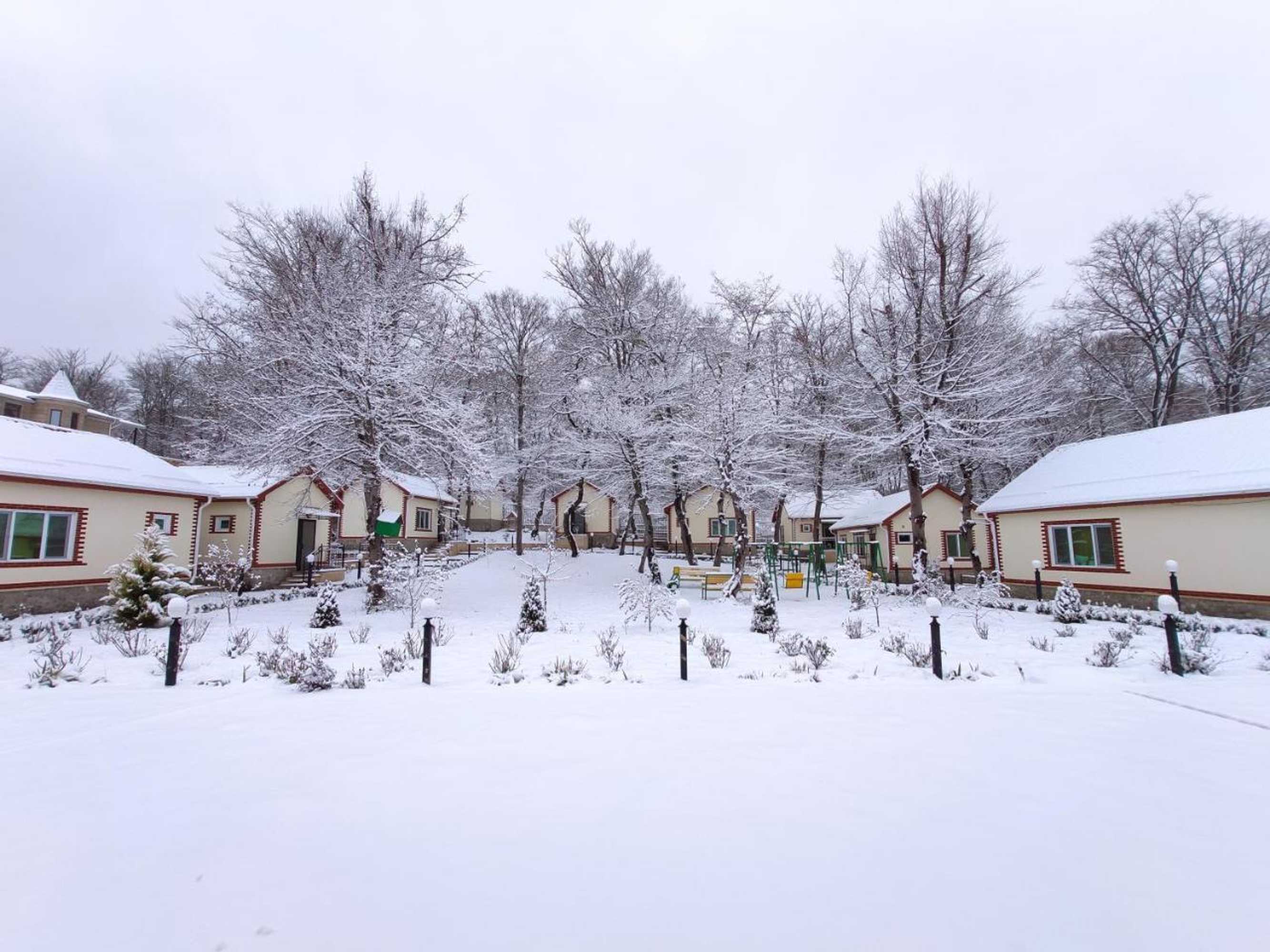 Gift card for Selena