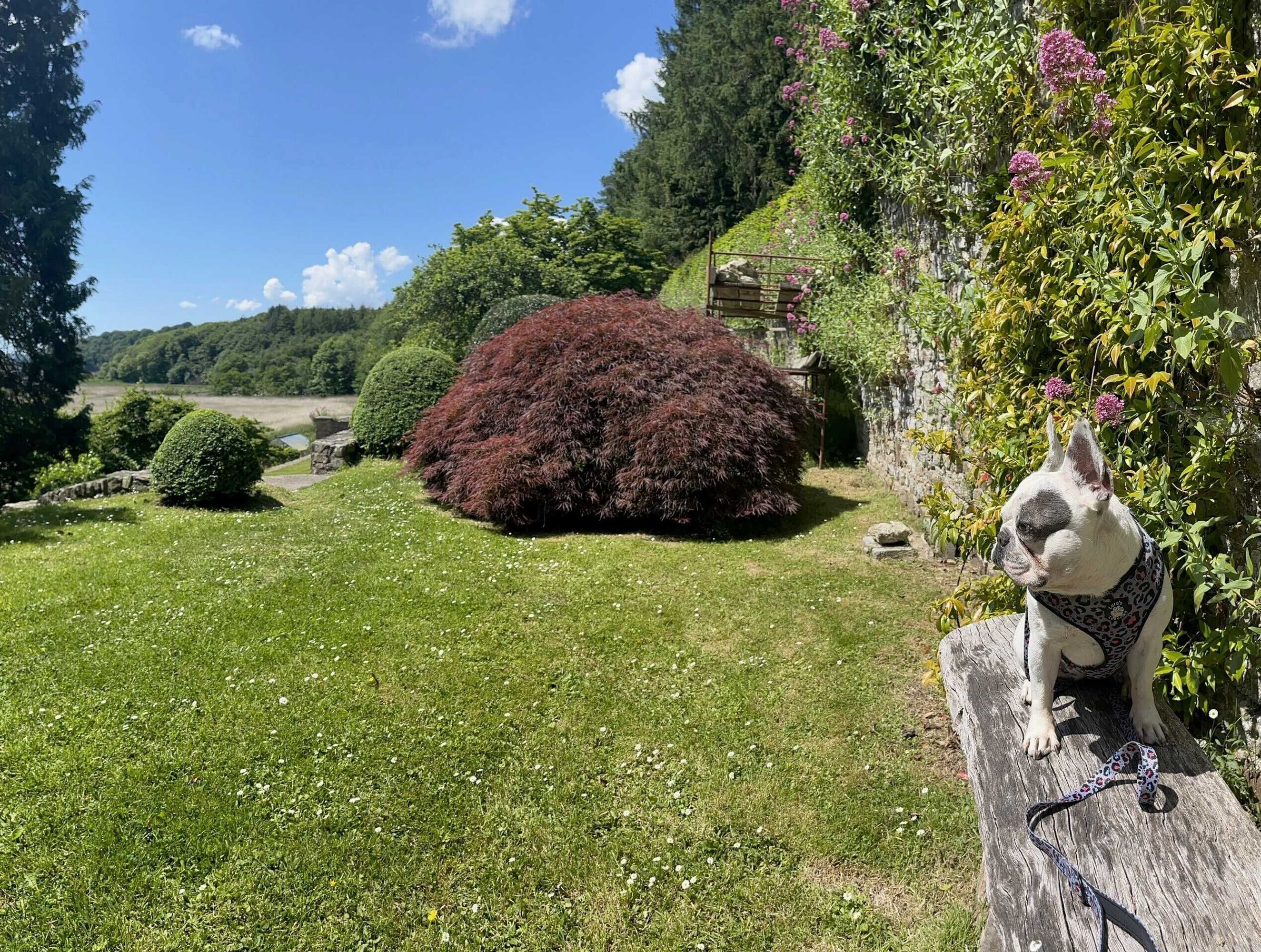 Gift card for Slebech Park Restaurant & Rooms