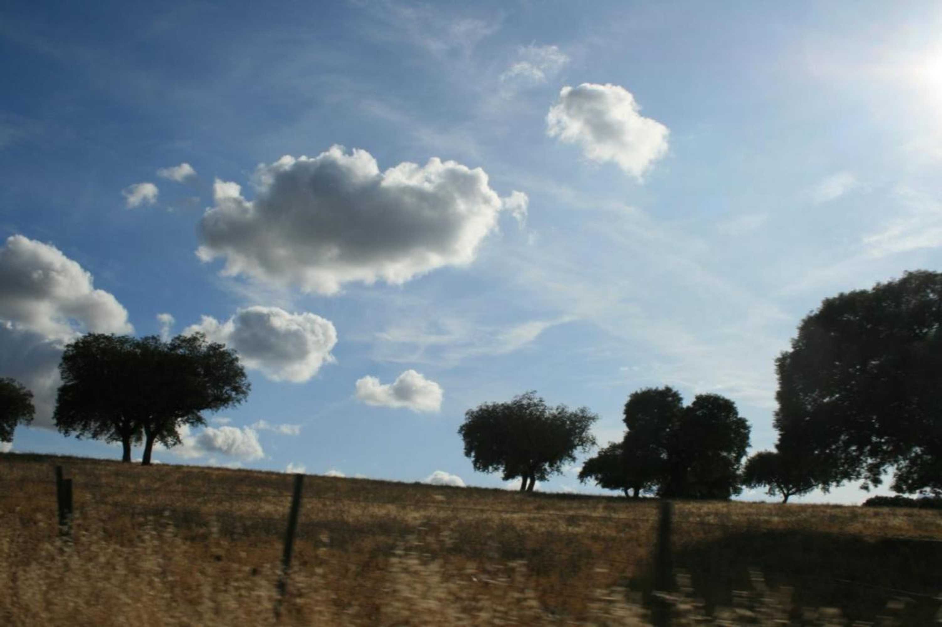 Gift card for Herdade Do Monte Outeiro