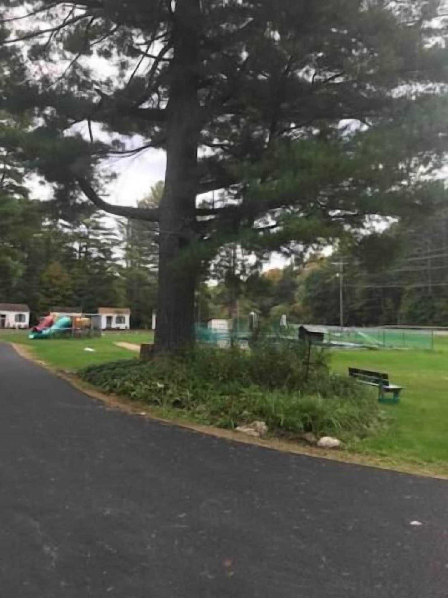 Gift card for Catskill Motor Court Motel