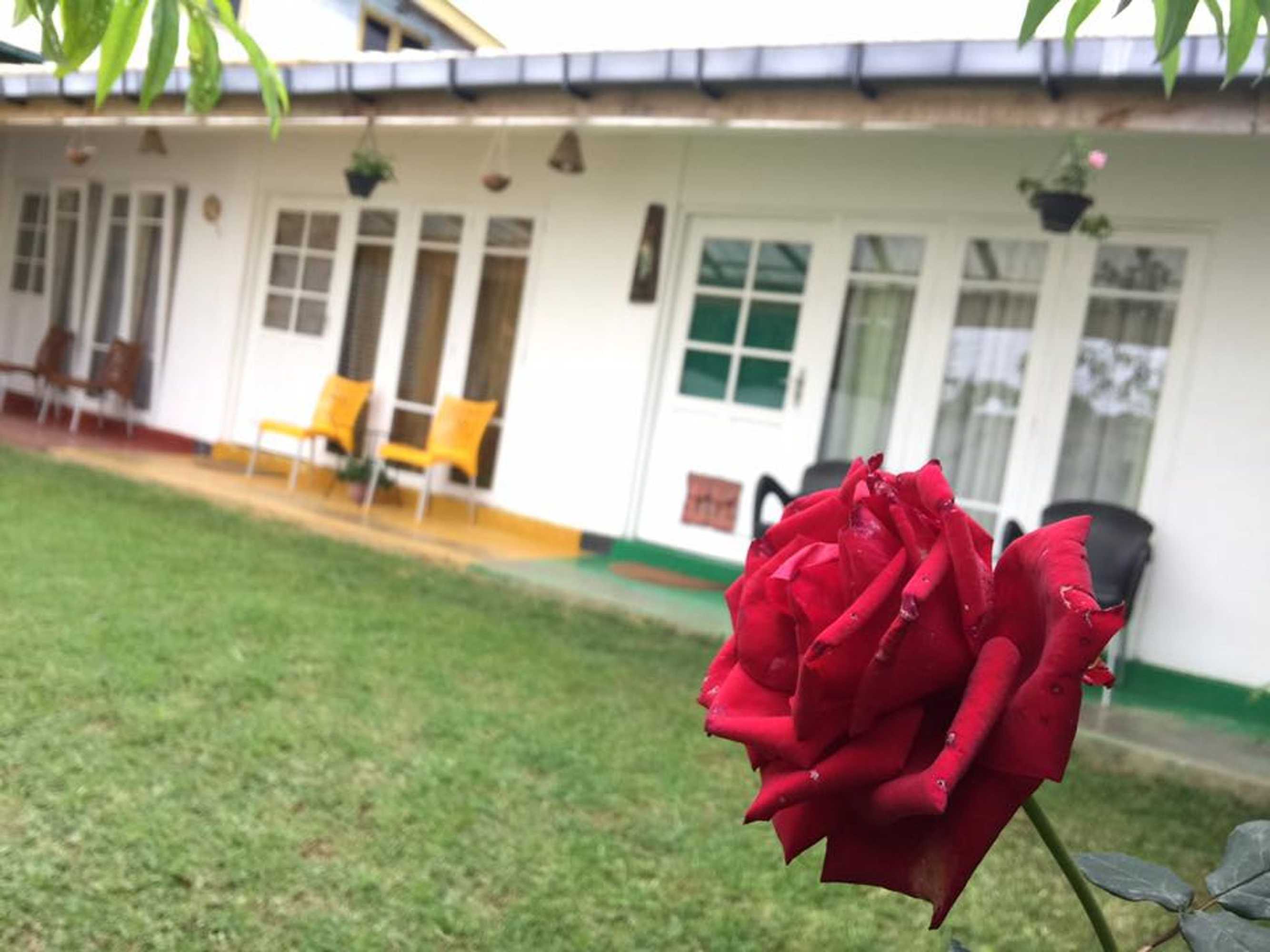 Gift card for The Rivendell - Hostel