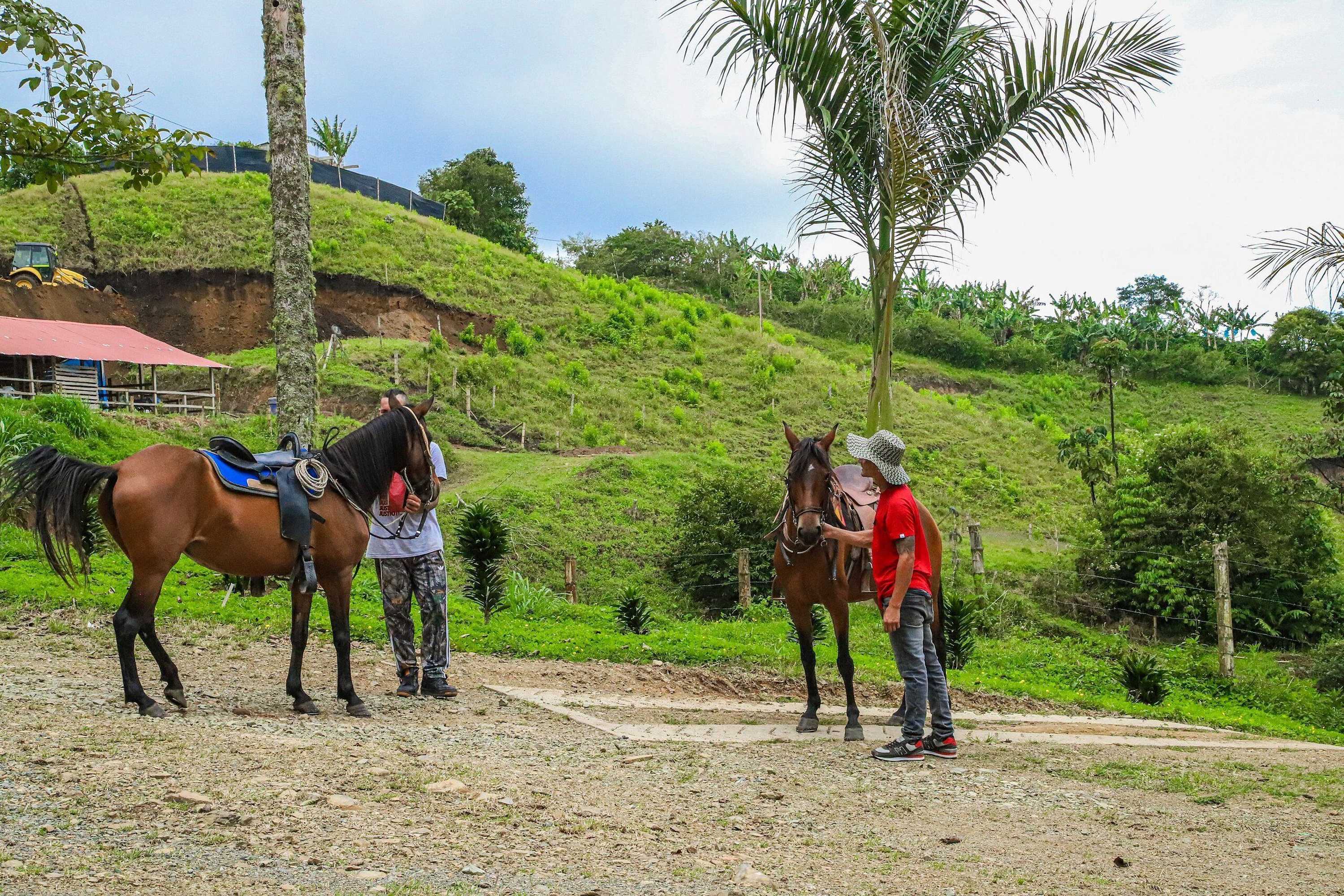 Gift card for Finca Hotel Los Guayacanes Gift card for Finca Hotel Los Guayacanes
