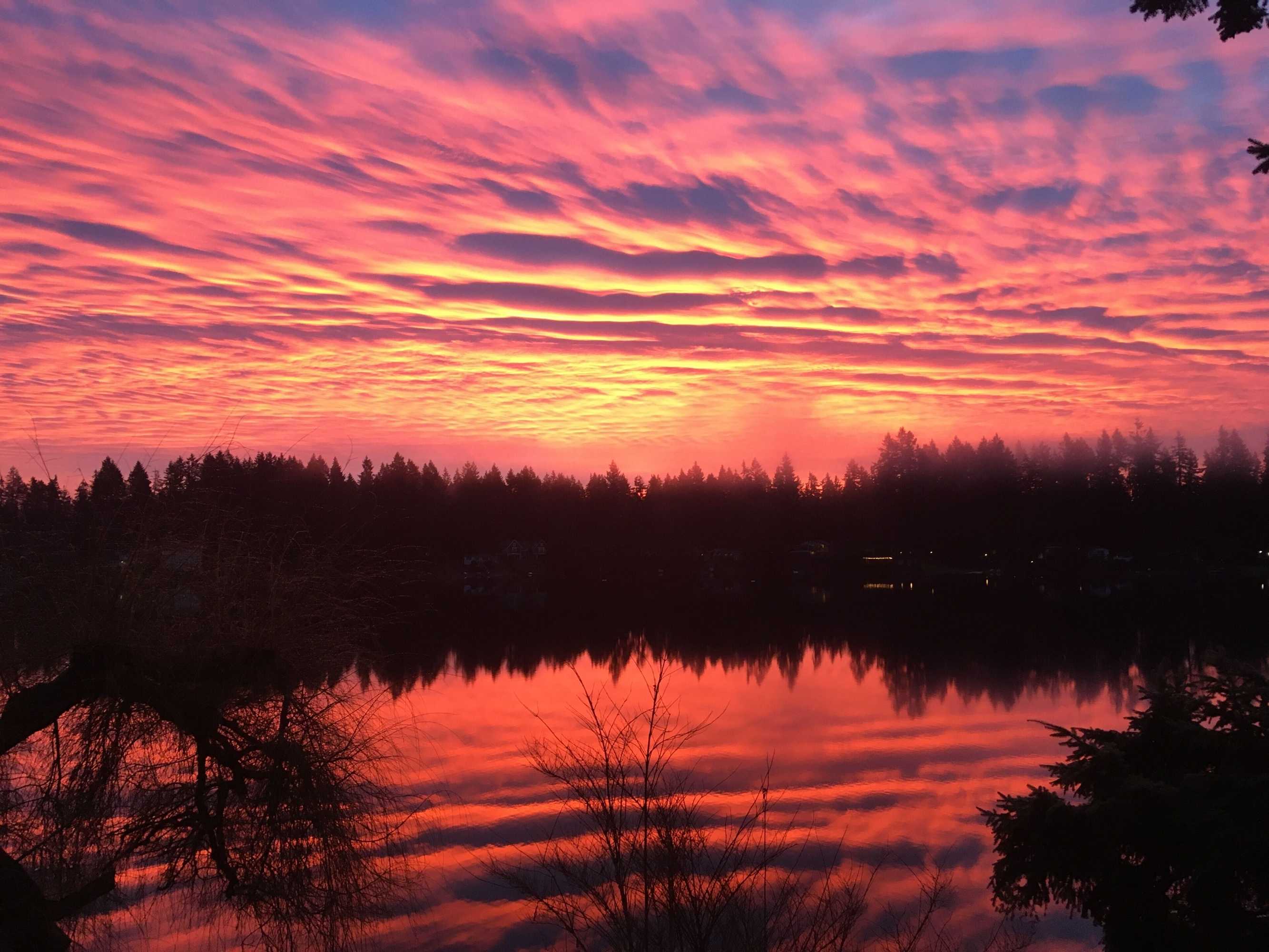 Gift card for Cottage Lake Bed And Breakfast Gift card for Cottage Lake Bed And Breakfast