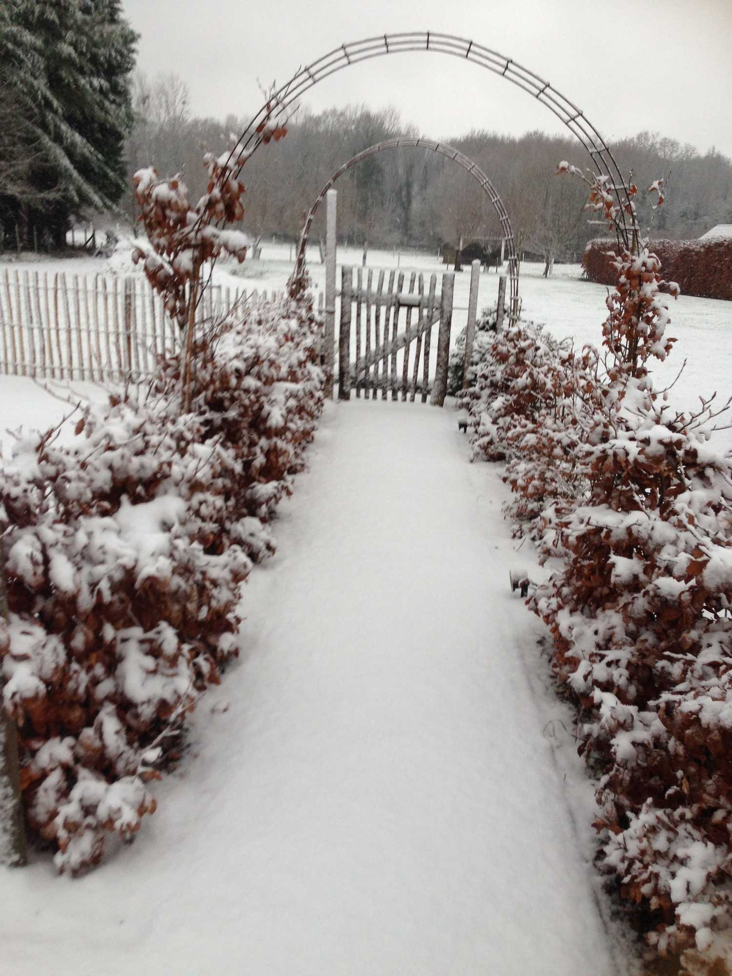 Gift card for B&b Silentium