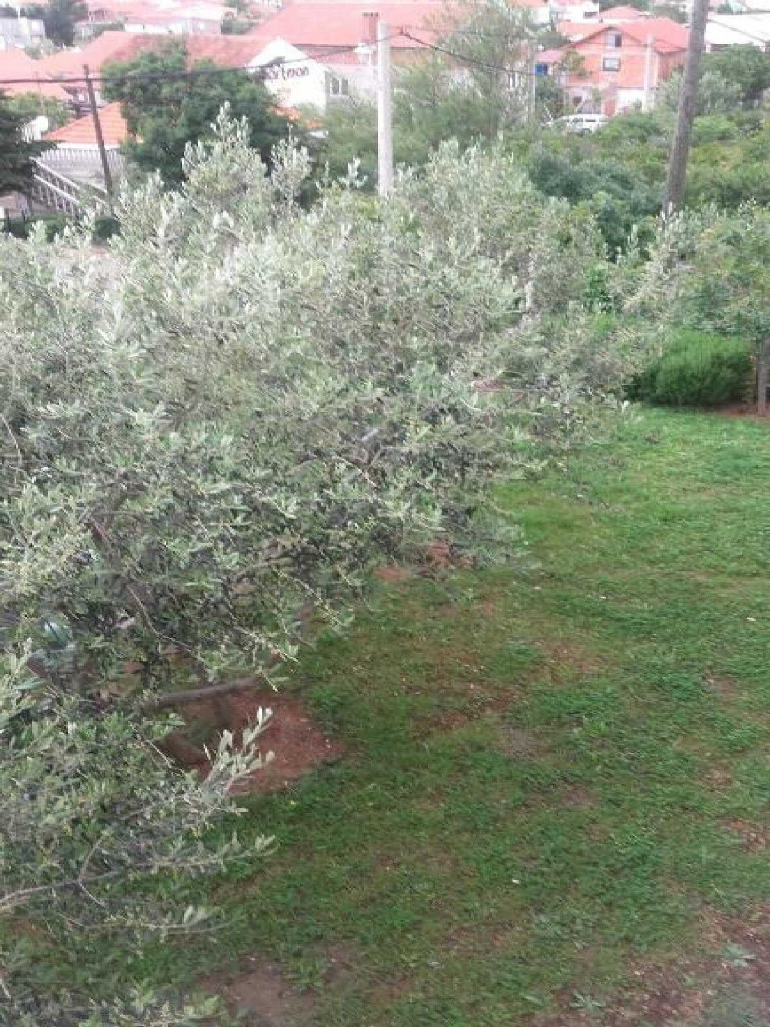 Gift card for Apartments Smilje & Maslina