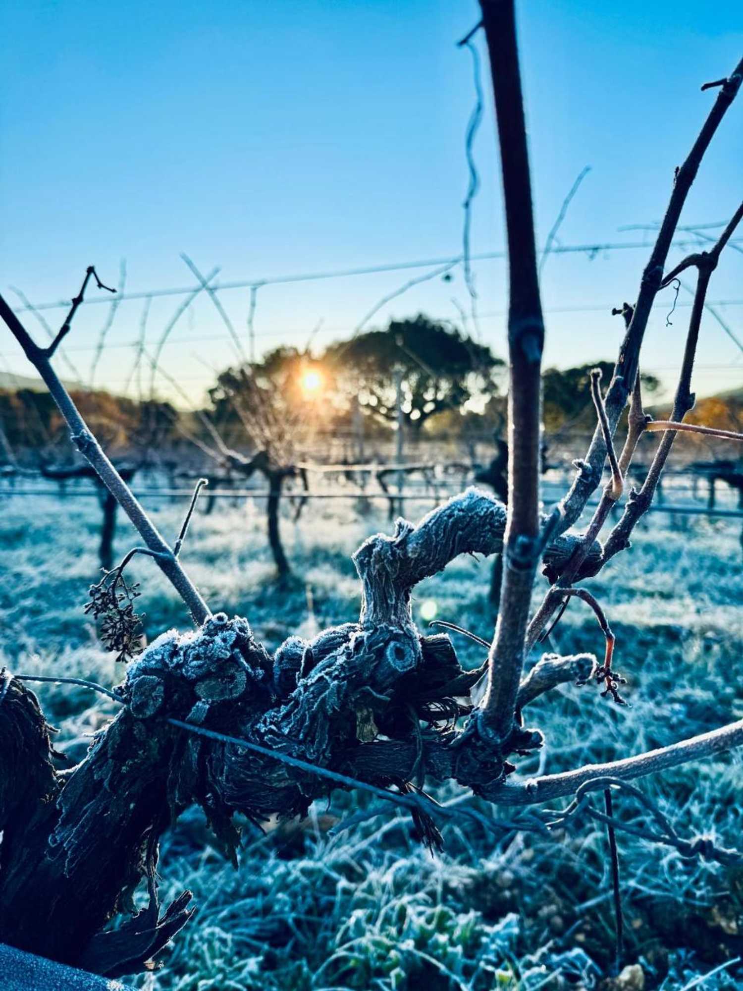 Gift card for Salto Del Caballo