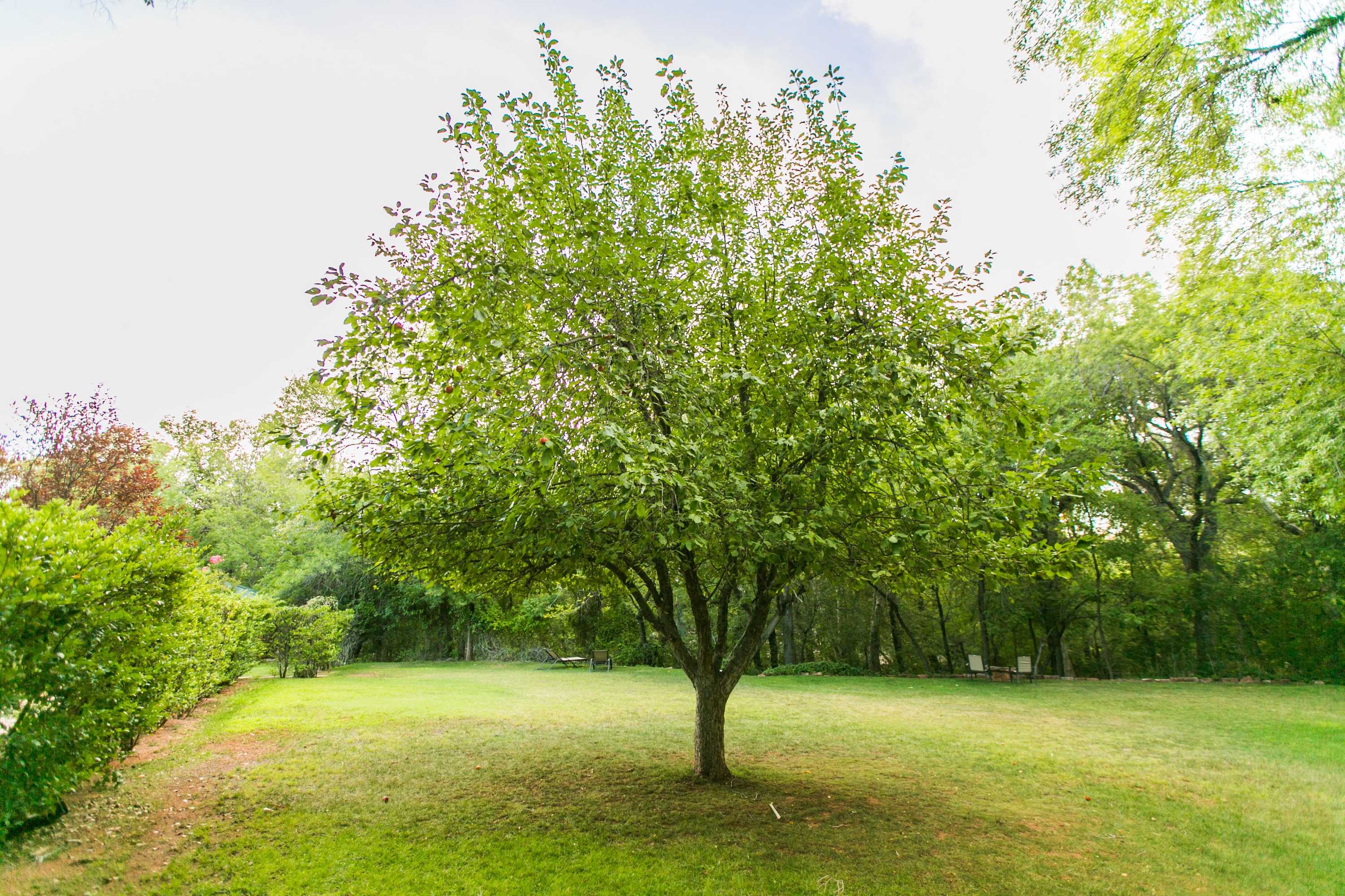 Gift card for Creekside Inn Sedona