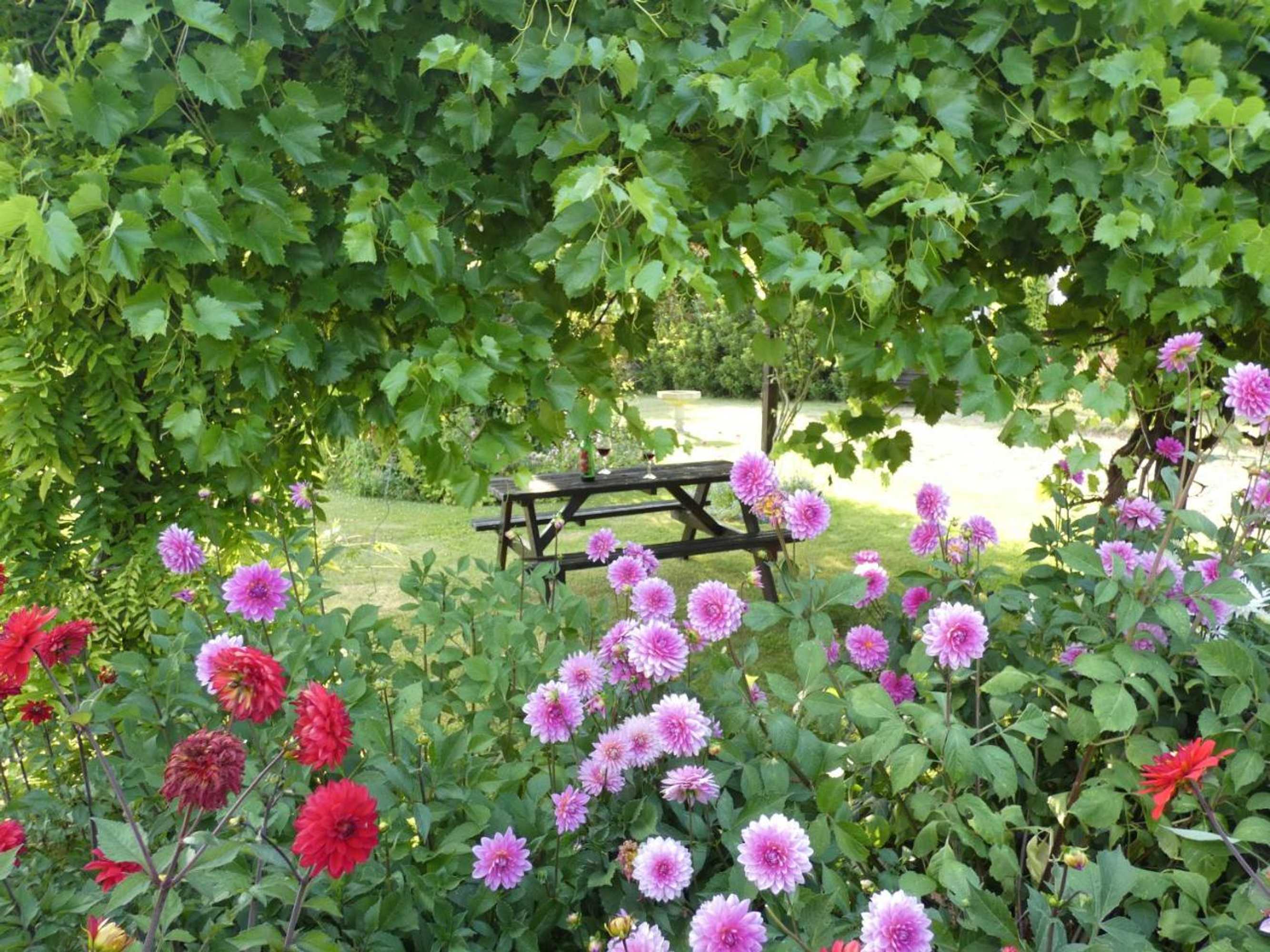 Gift card for The Mount B&b Somerton