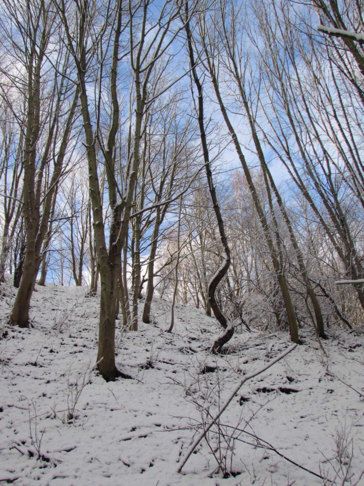 Gift card for Willa Wiktoria