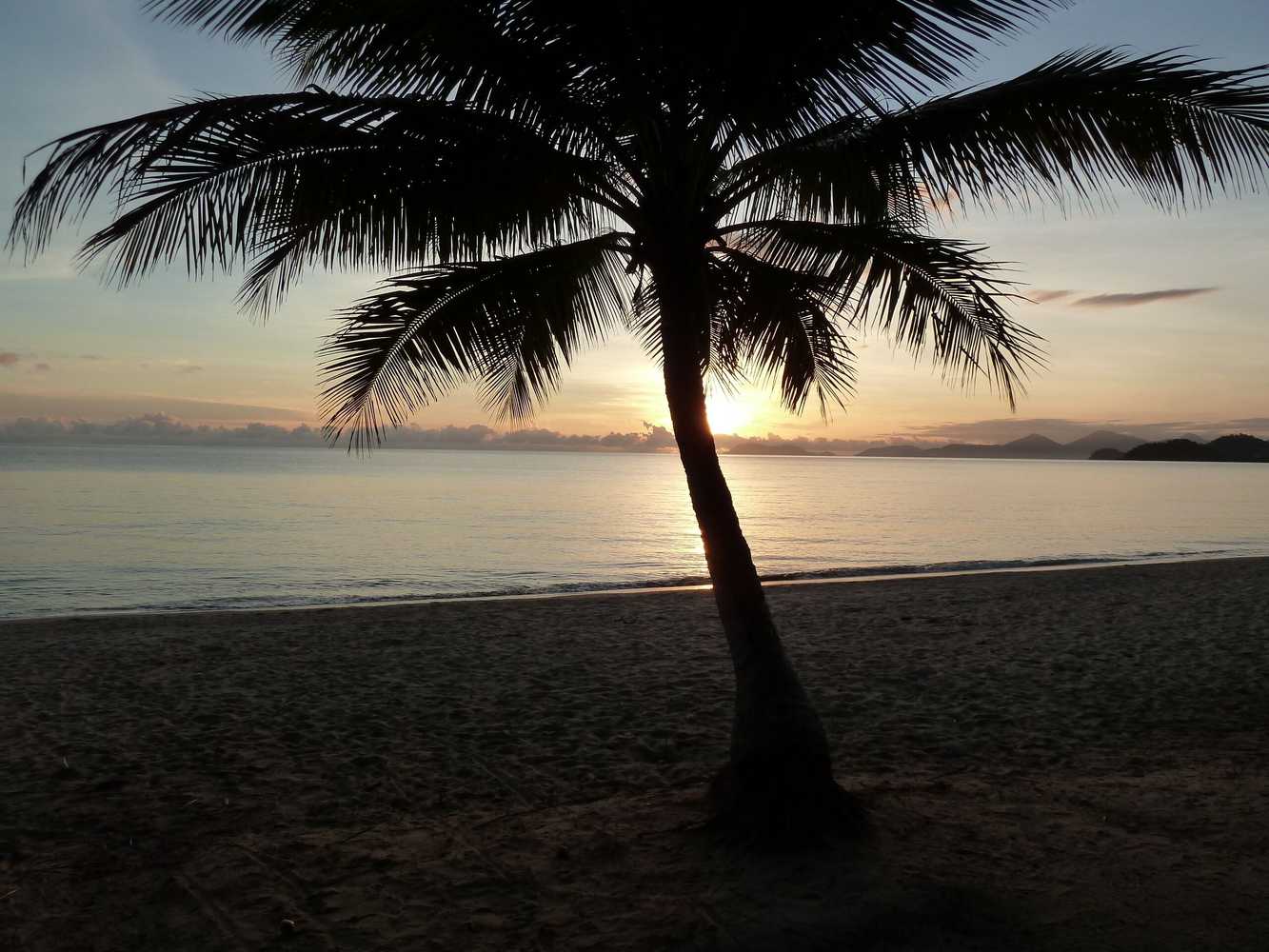 Gift card for Palm Cove Tropic Apartments Gift card for Palm Cove Tropic Apartments