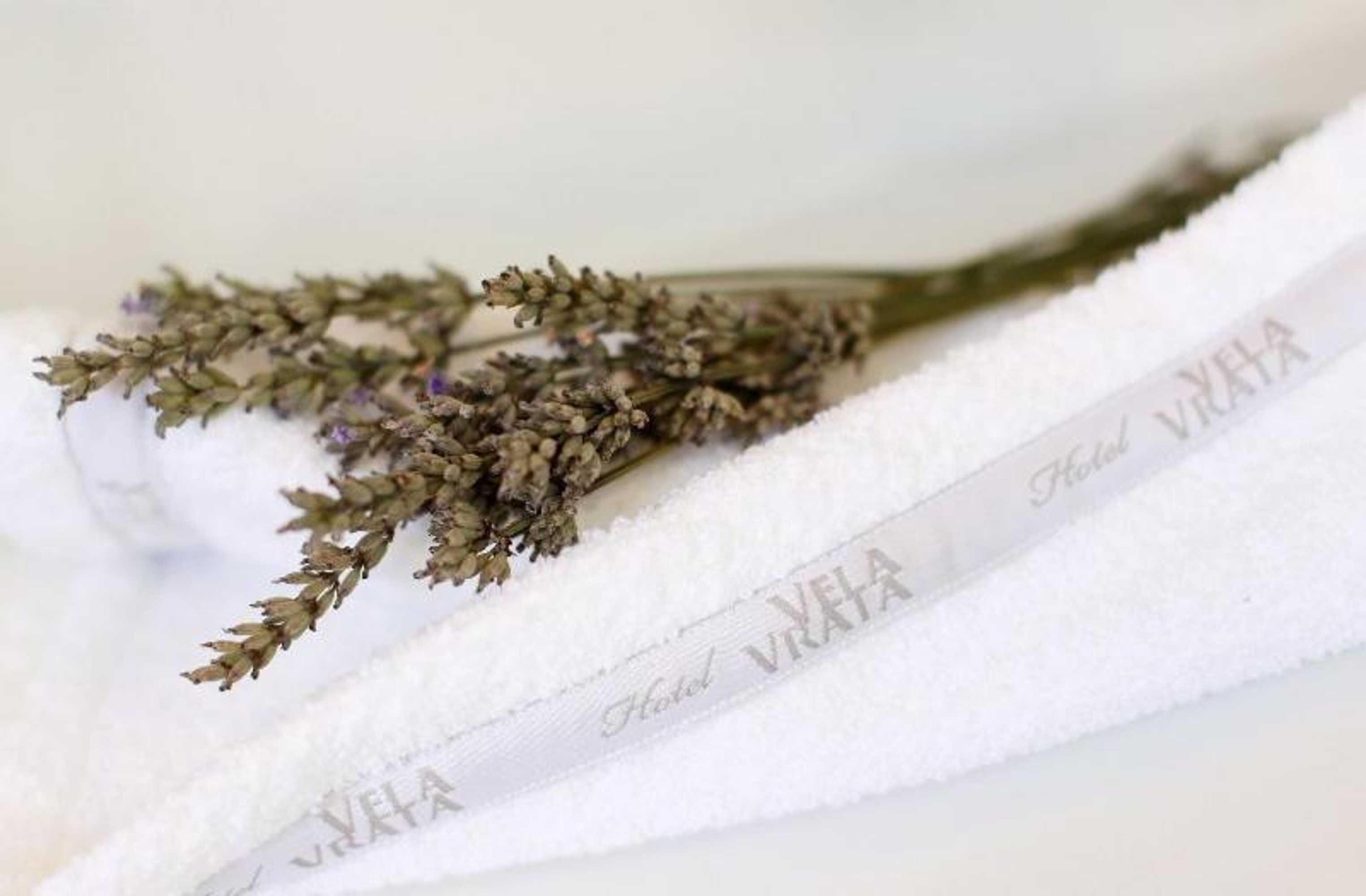 Gift card for Boutique Hotel Vela Vrata