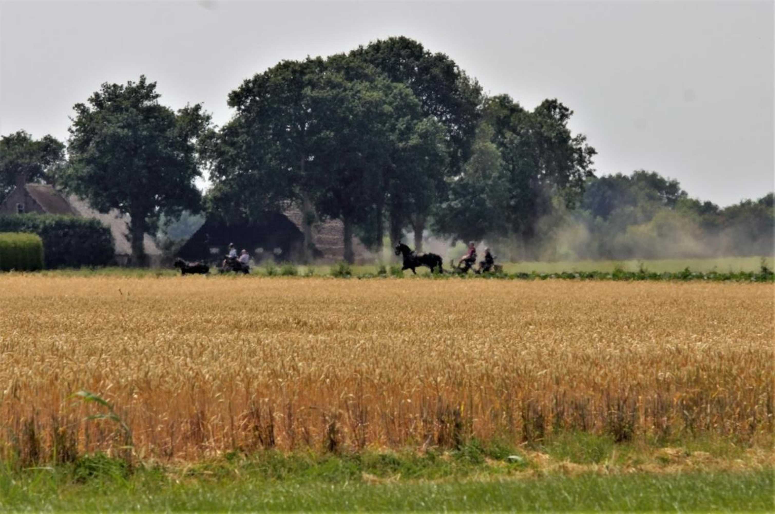 Gift card for Bed And Breakfast Wouw