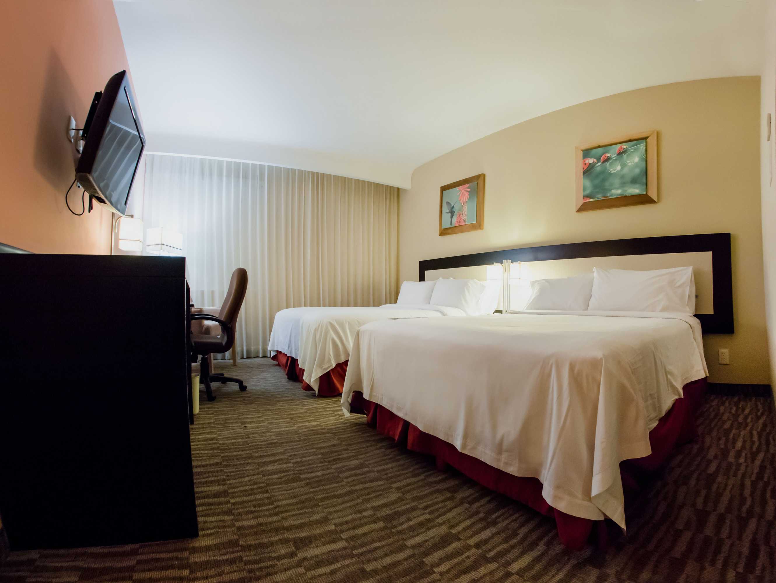 Gift card for Excellence Express San Juan Del Río Gift card for Excellence Express San Juan Del Río