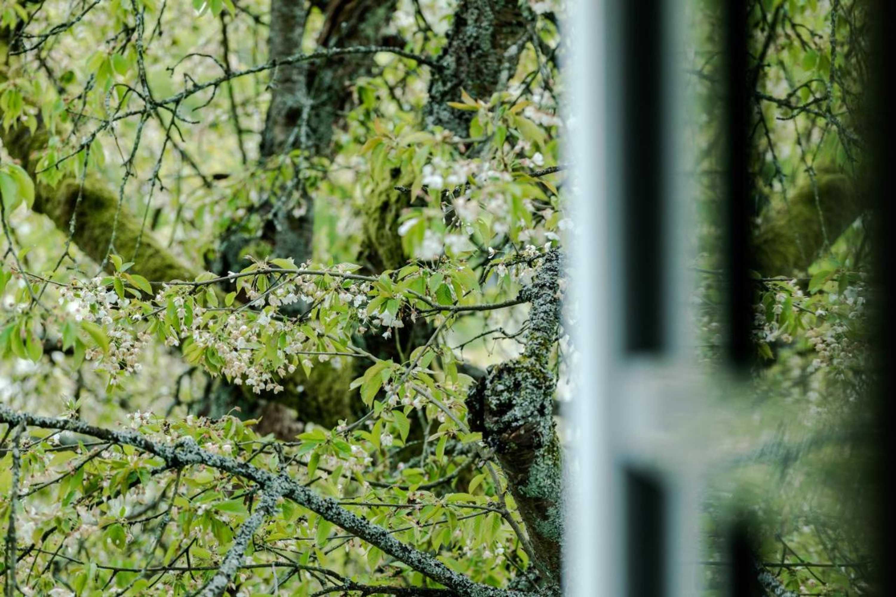 Gift card for Romantik Hotel Neuhaus