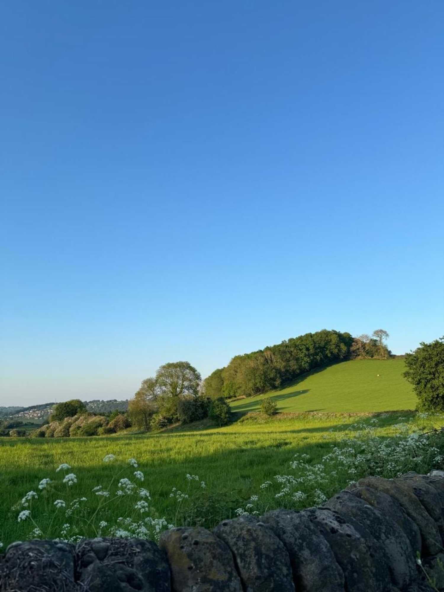 Gift card for Bulls Head