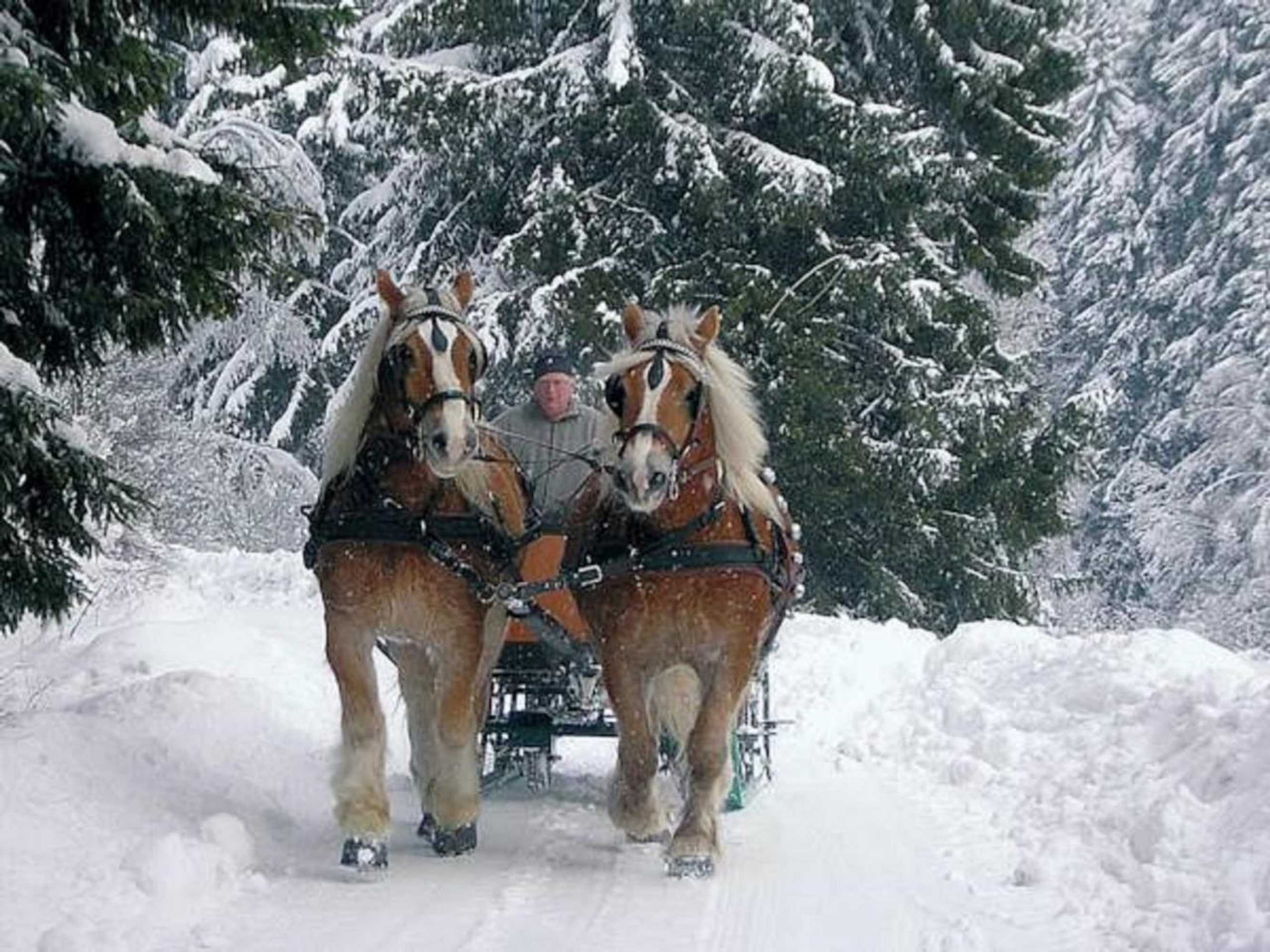 Gift card for Ginsberger Heide