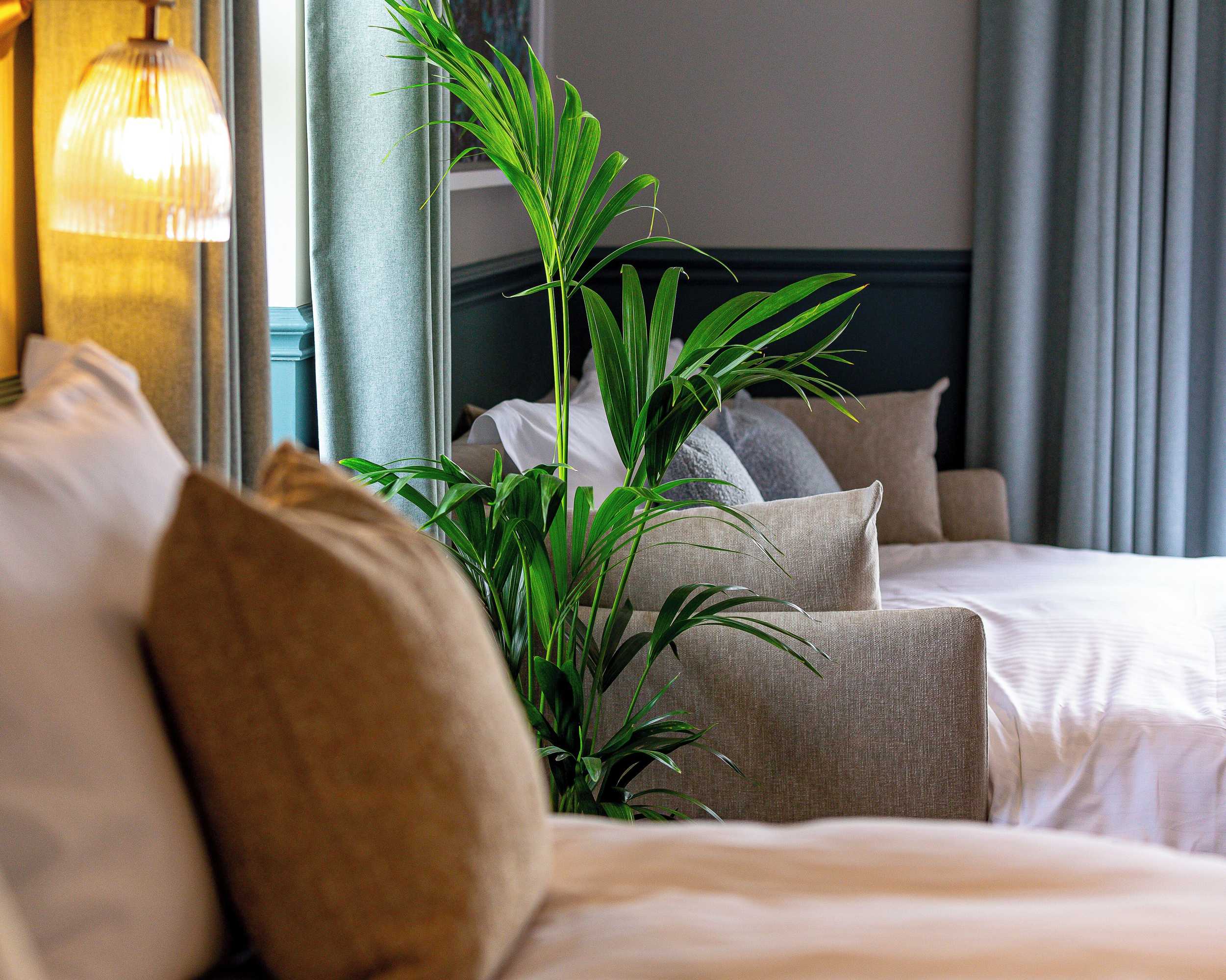 Gift card for Albion Hotel - Freshwater Bay Gift card for Albion Hotel - Freshwater Bay