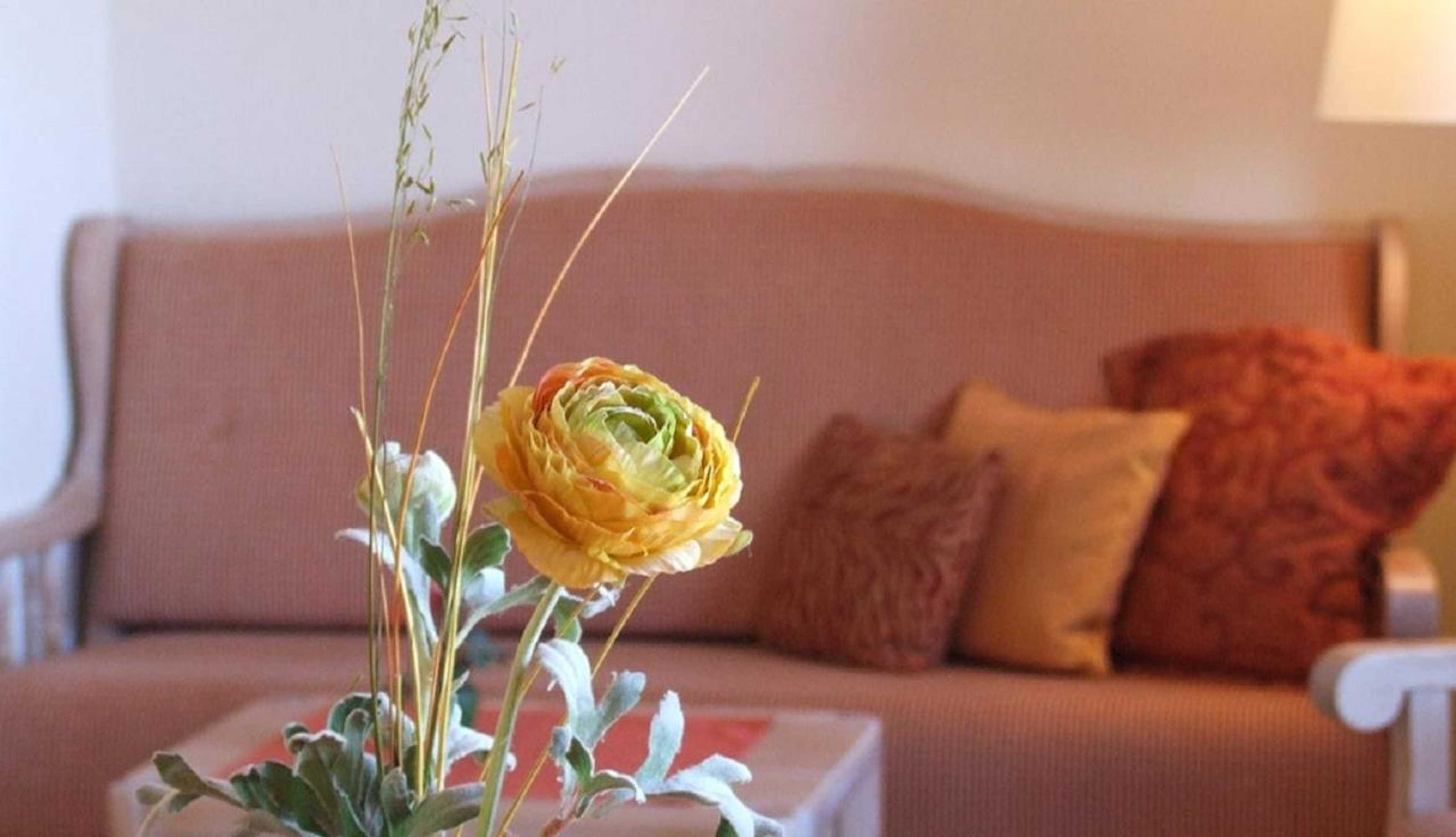 Gift card for Landgasthof Osterseen