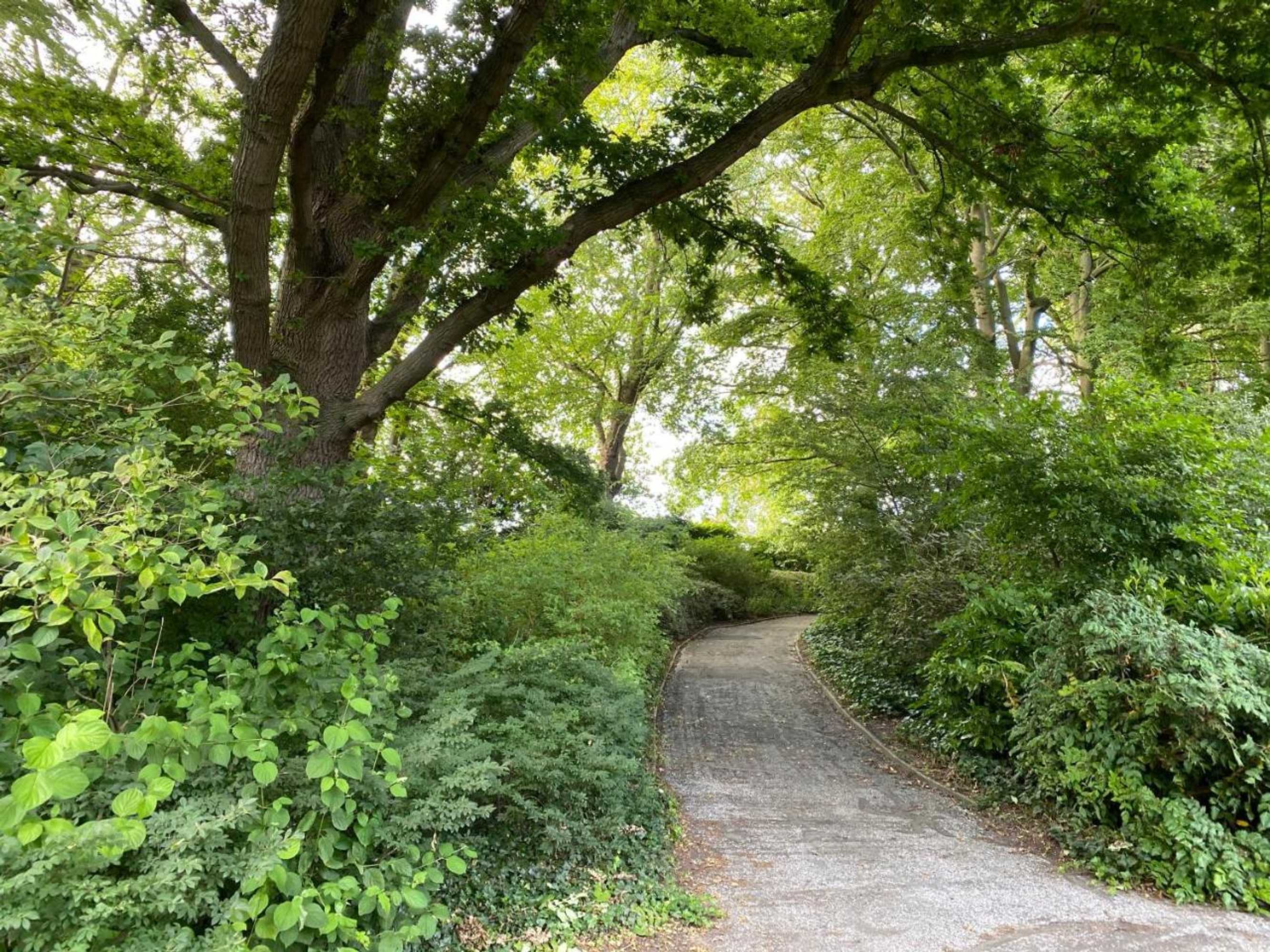 Gift card for Bed And Breakfast Het Emmapark Medemblik