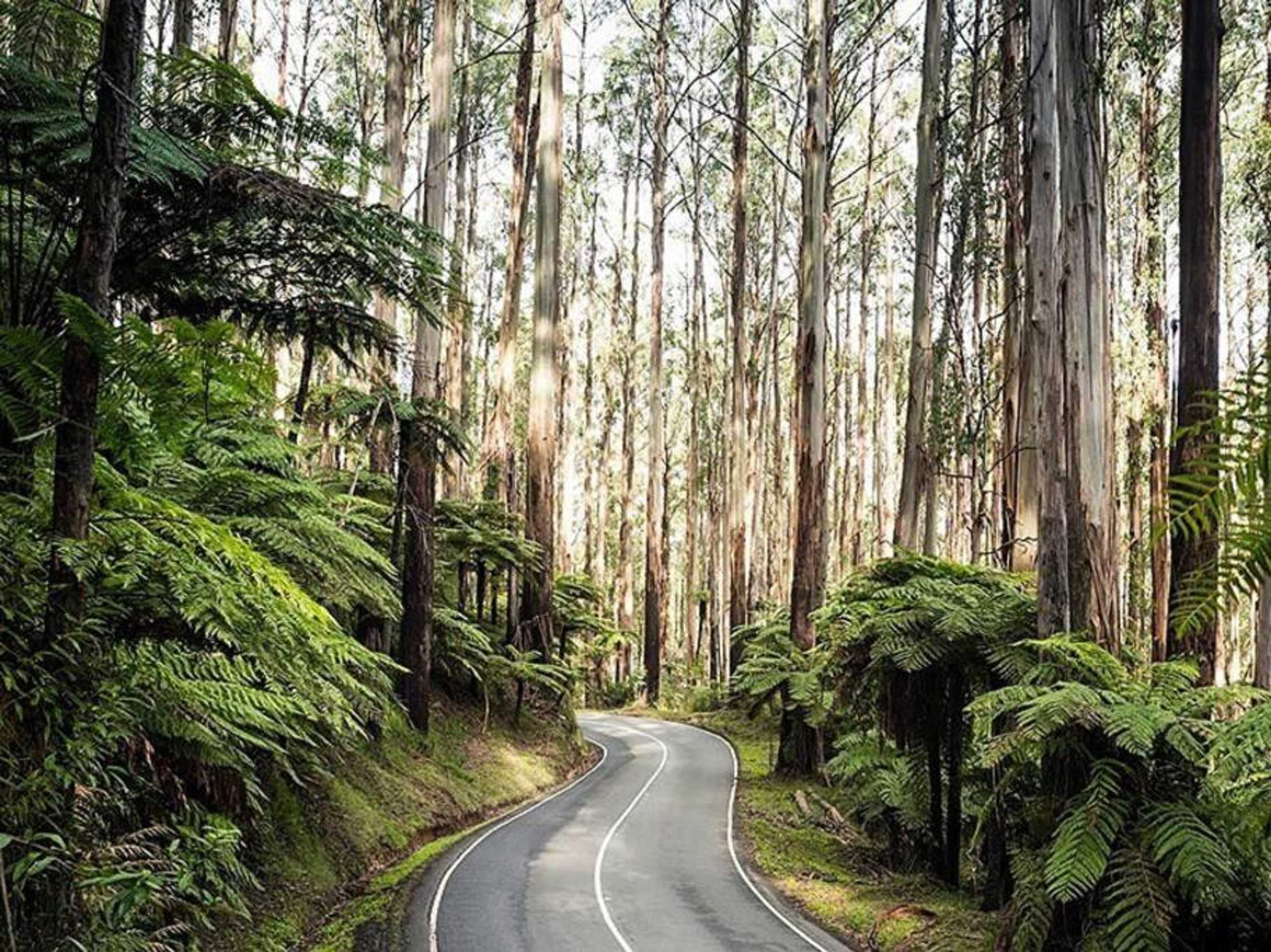 Gift card for Yarra Valley Tiny House - Tiny Stays