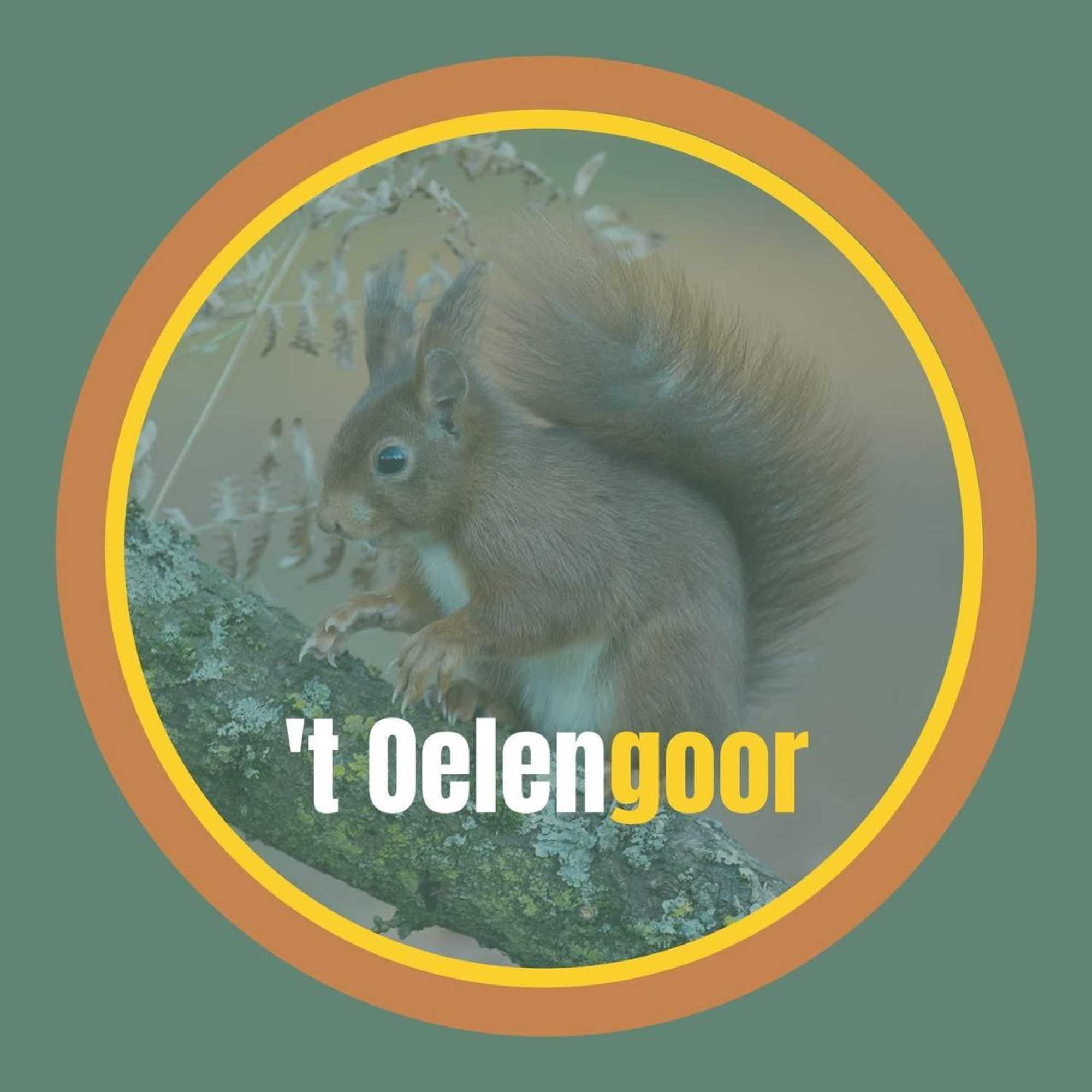 Gift card for Gastenverblijf 't Oelengoor