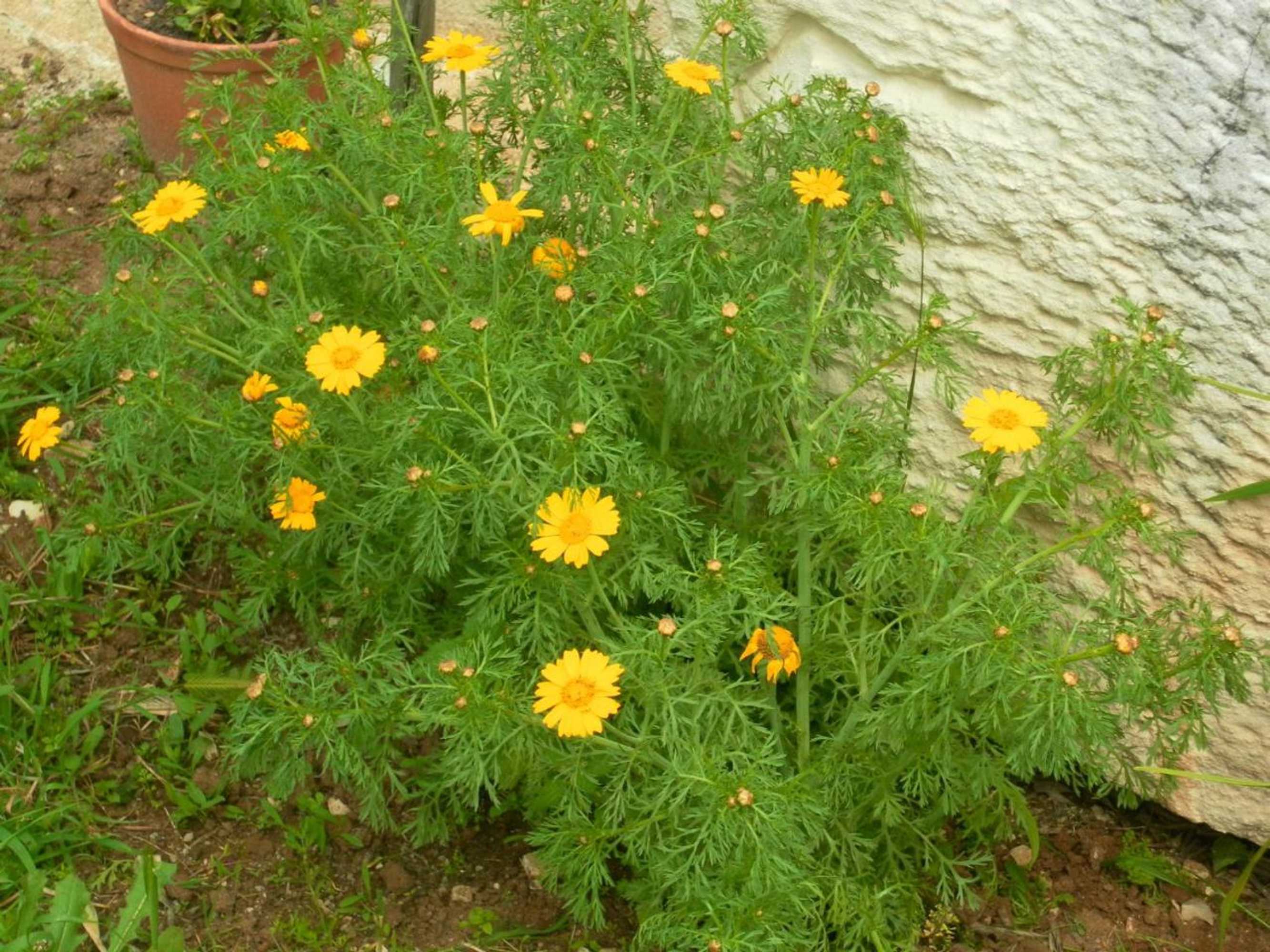 Gift card for Retiro Da Avó Lídia