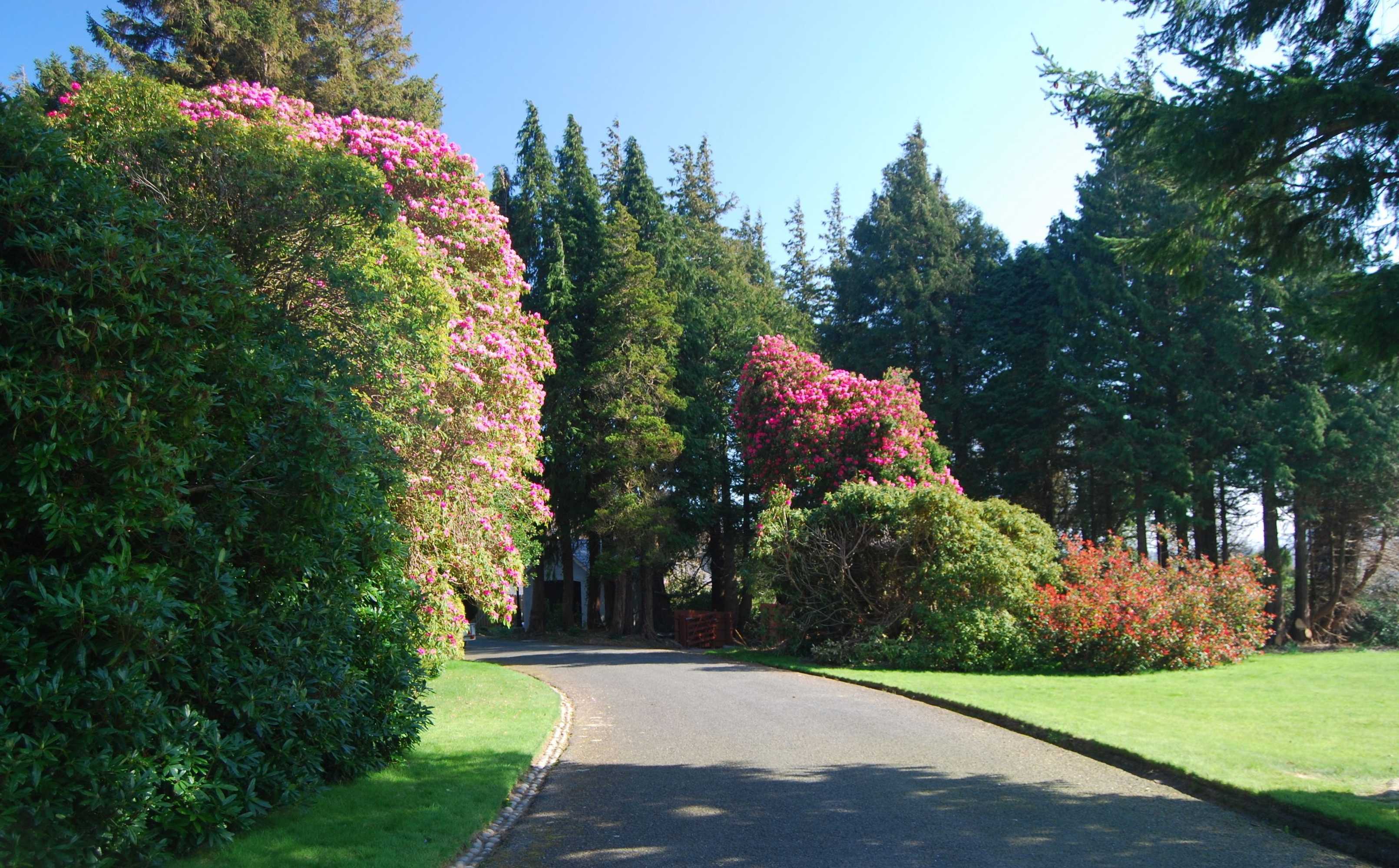 Gift card for Enniskeen Country House Hotel Gift card for Enniskeen Country House Hotel