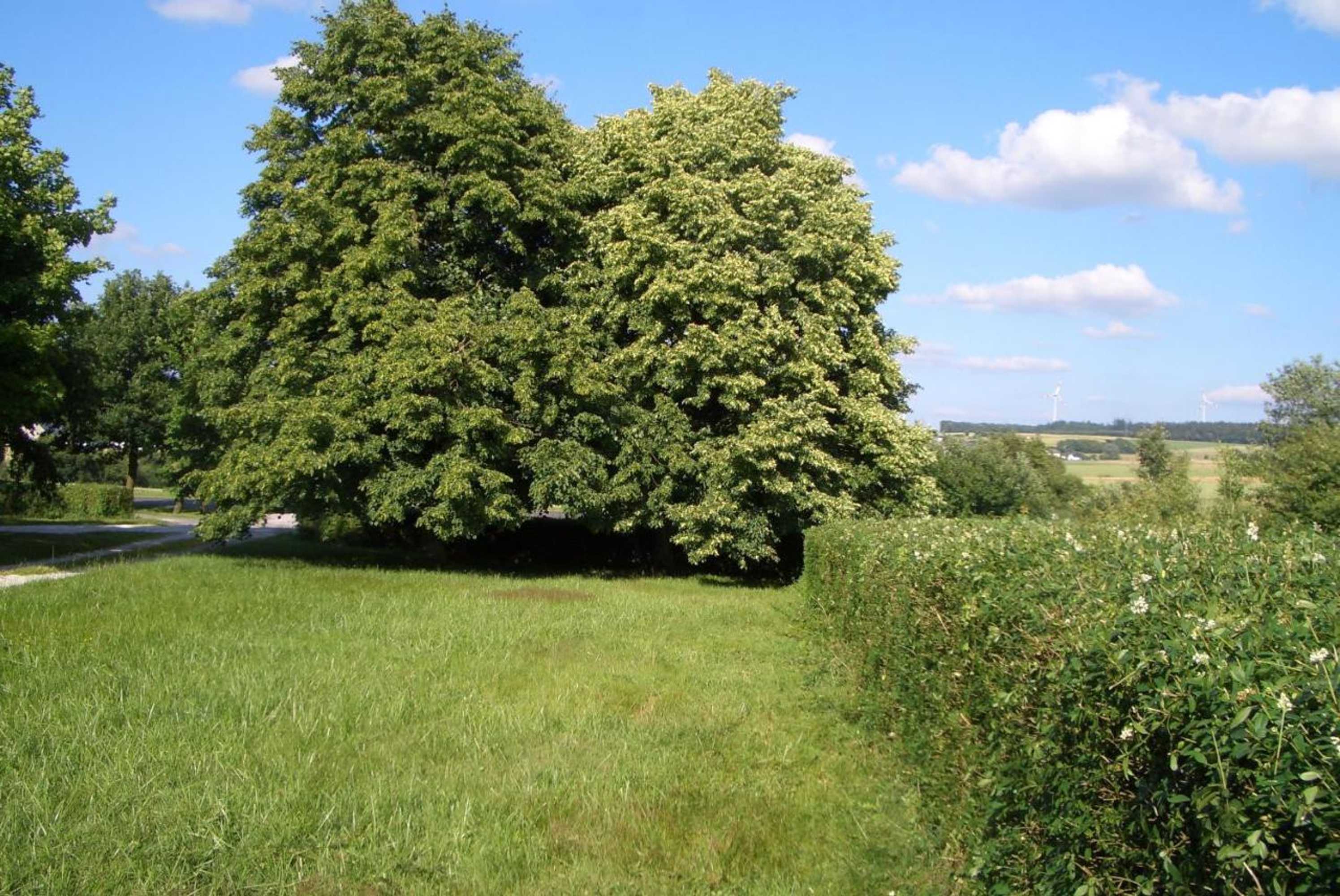 Gift card for Lindenhof Hahn