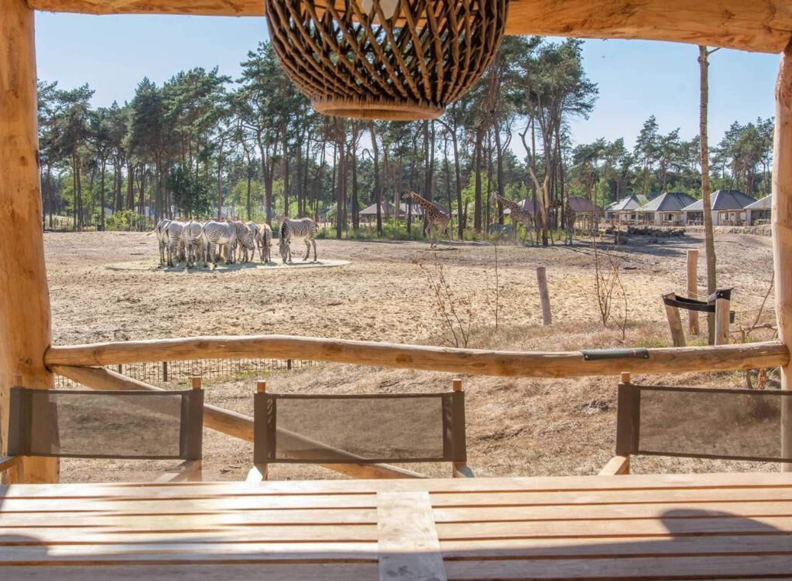 Gift card for Safari Resort Beekse Bergen Gift card for Safari Resort Beekse Bergen