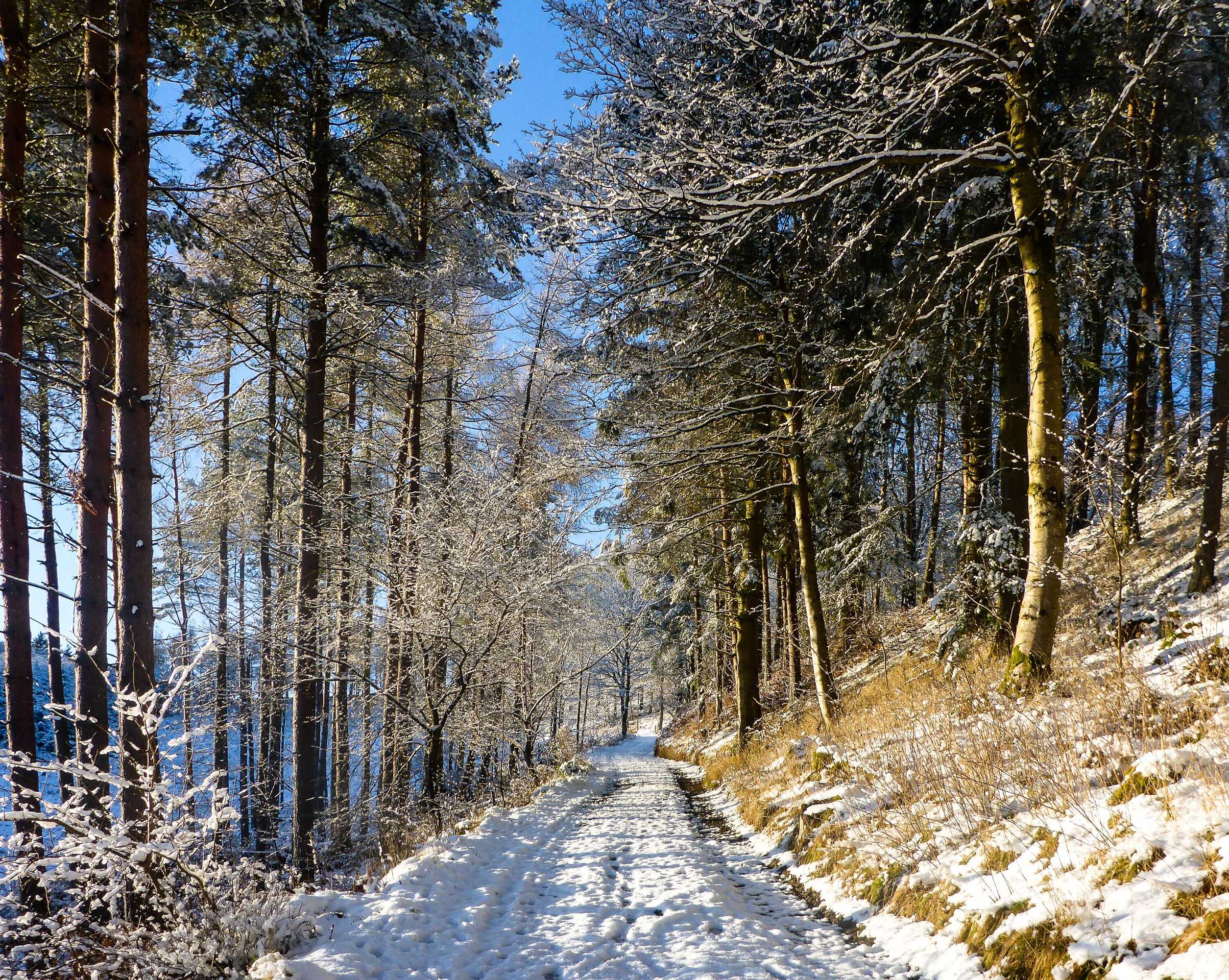 Gift card for The Five Turrets: Stay in Scotland in Style in a Historic Four-Bed Holiday Home Gift card for The Five Turrets: Stay in Scotland in Style in a Historic Four-Bed Holiday Home