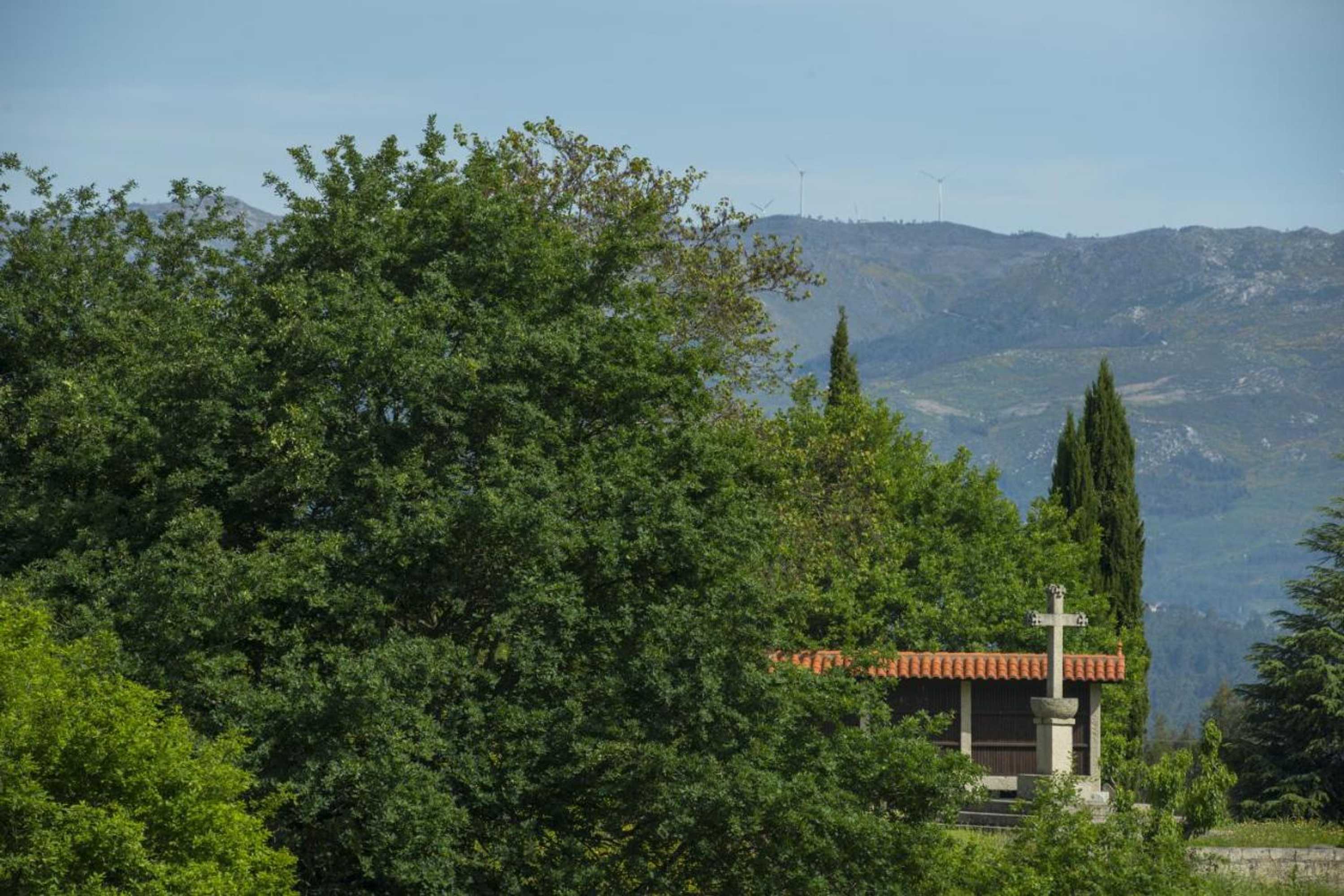 Gift card for Quinta do Fontelo