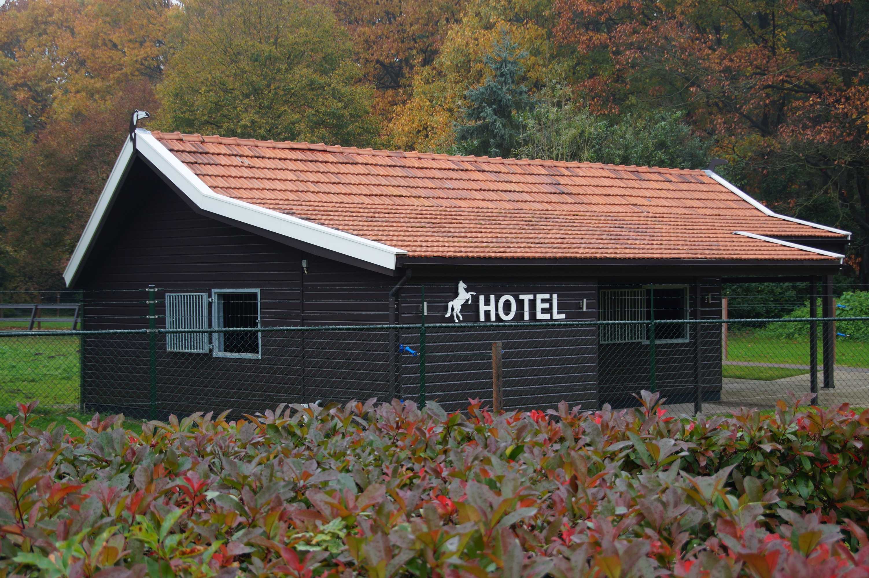 Gift card for Hotel Gilze - Tilburg Gift card for Hotel Gilze - Tilburg