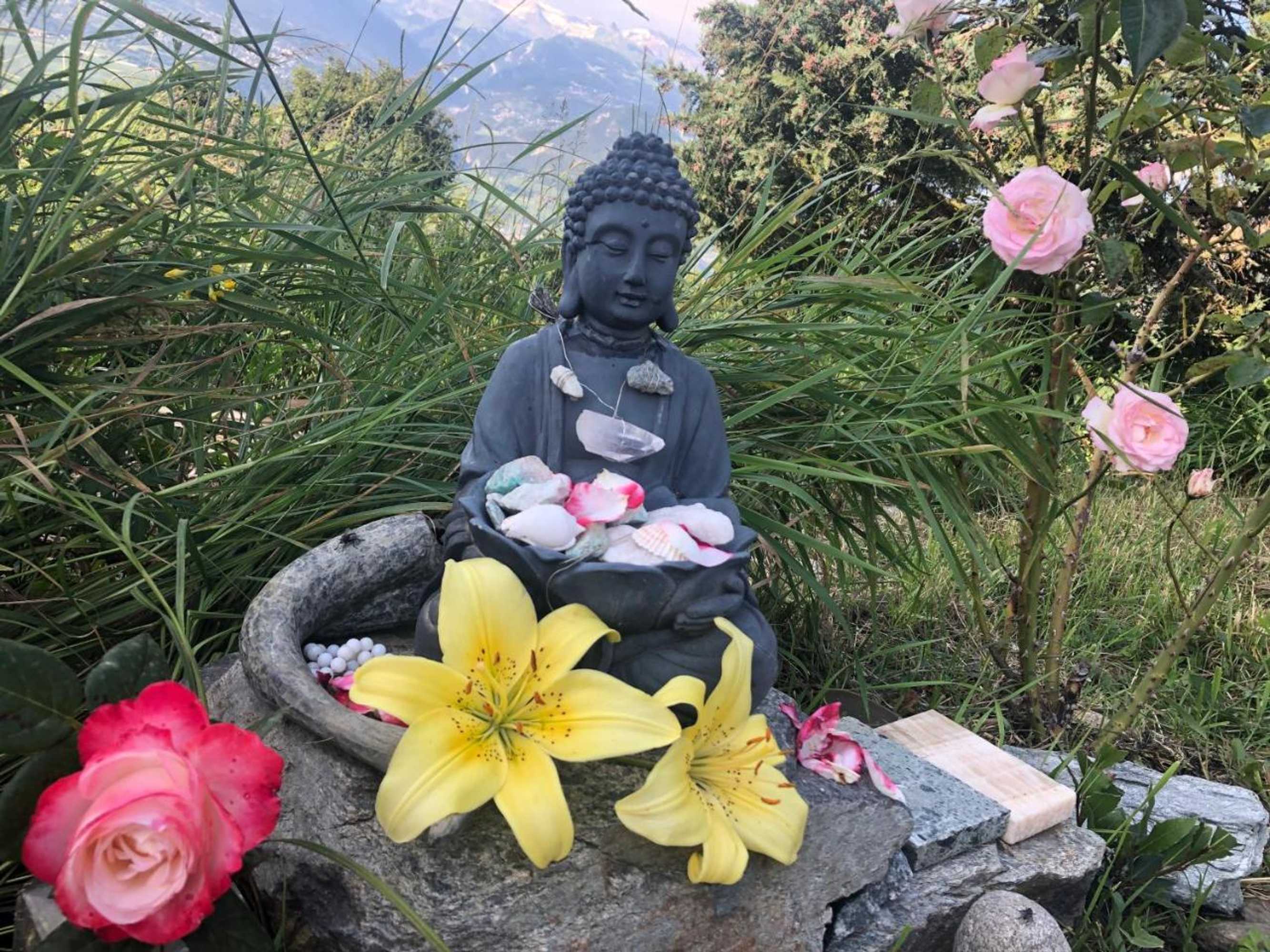 Gift card for Bellevie Bnb