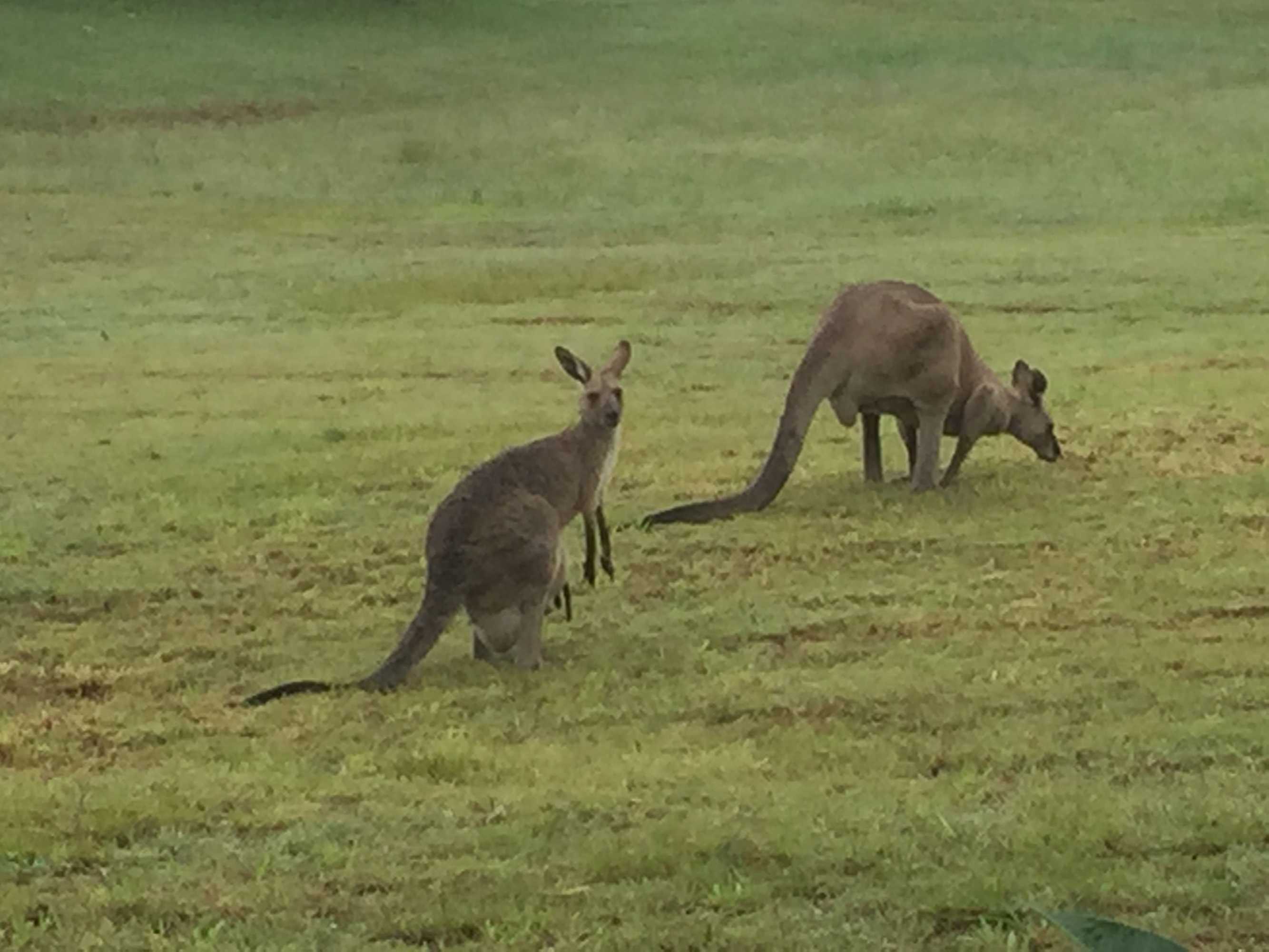 Gift card for Glass On Glasshouse