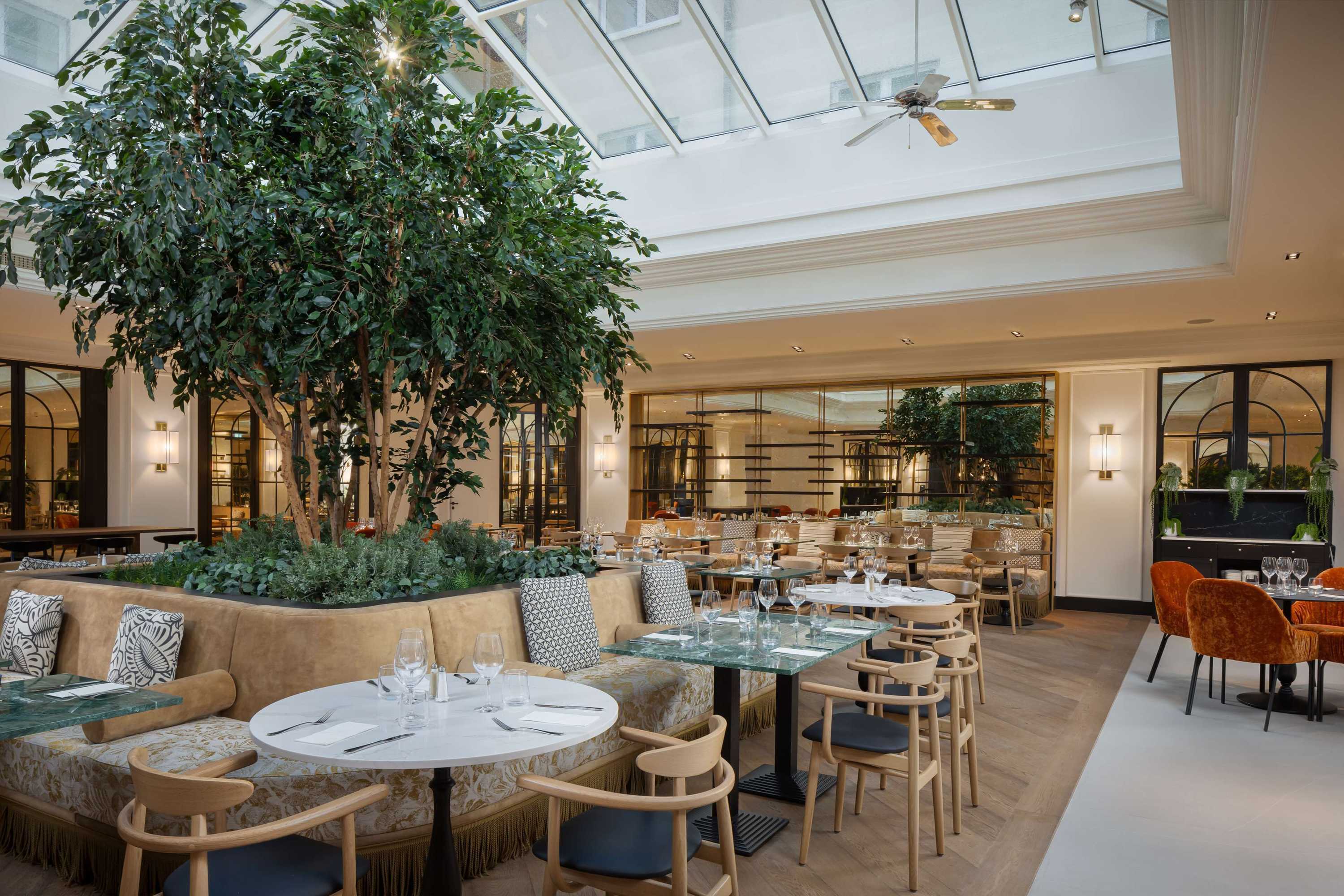 Gift card for Hilton Heidelberg