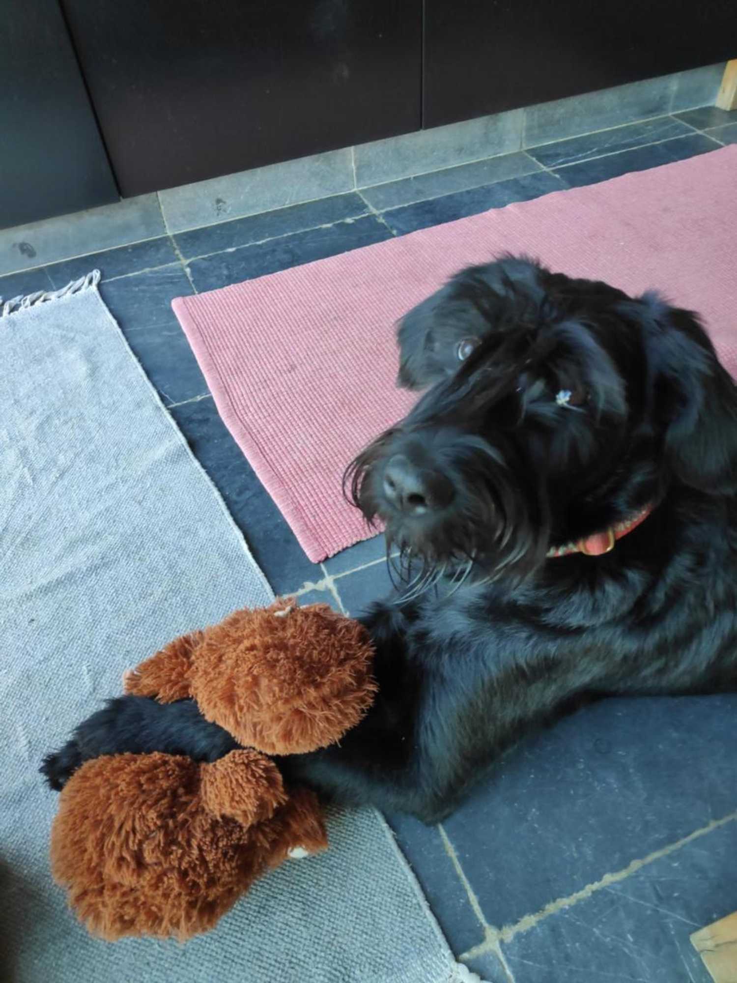 Gift card for B&b Art.14