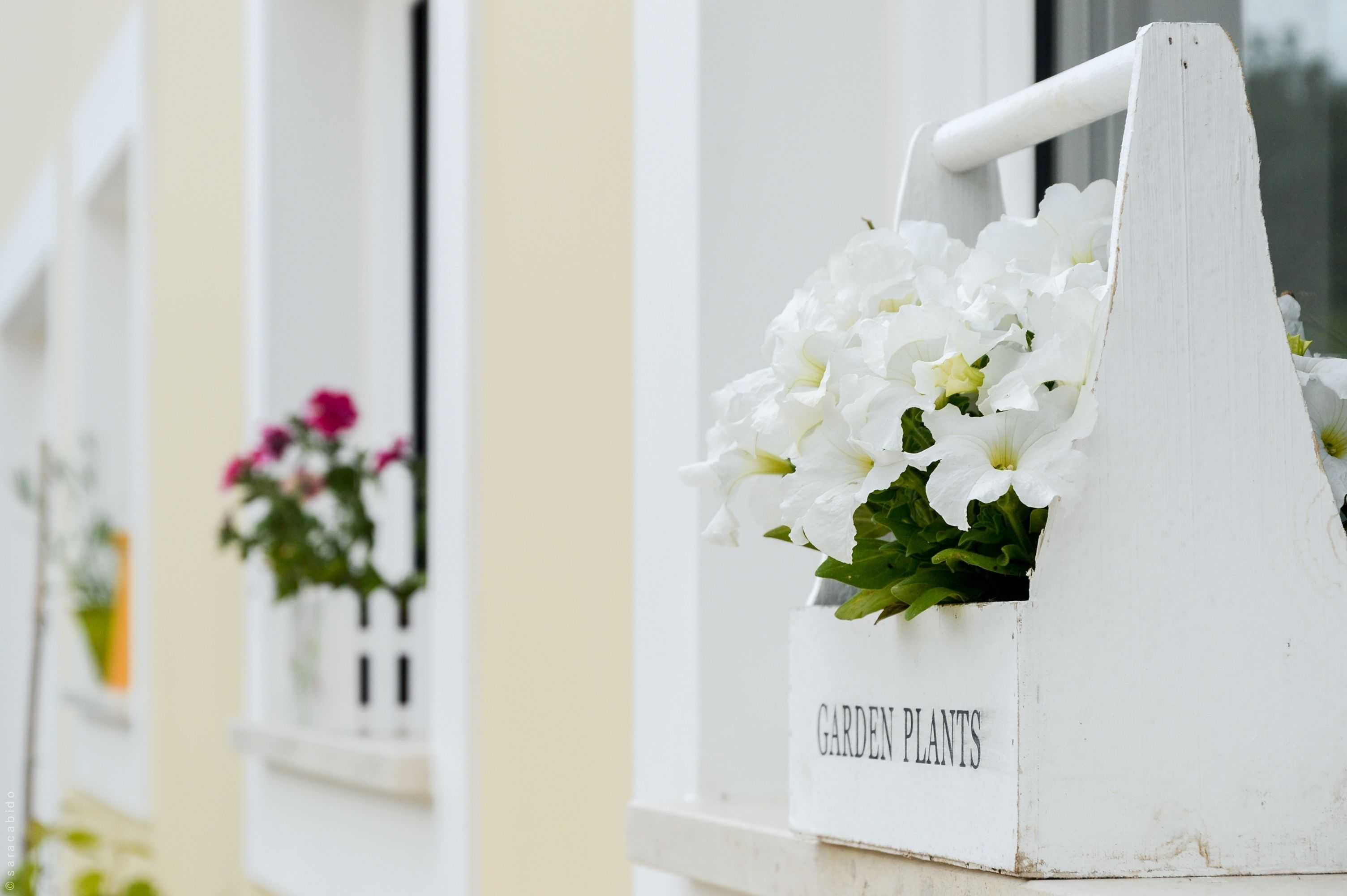 Gift card for Retiro do Bosque Country House Gift card for Retiro do Bosque Country House