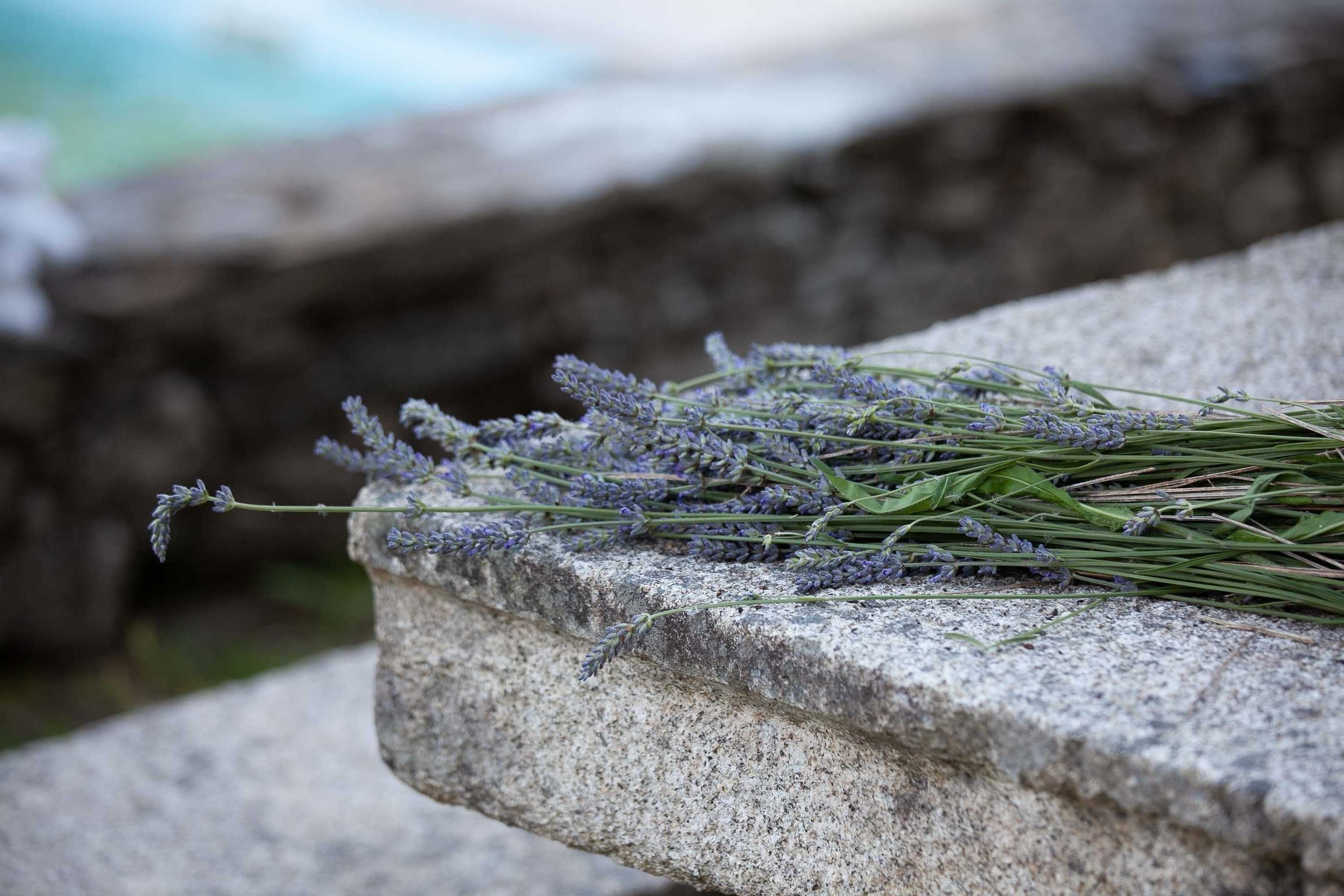 Gift card for Quinta de Mos