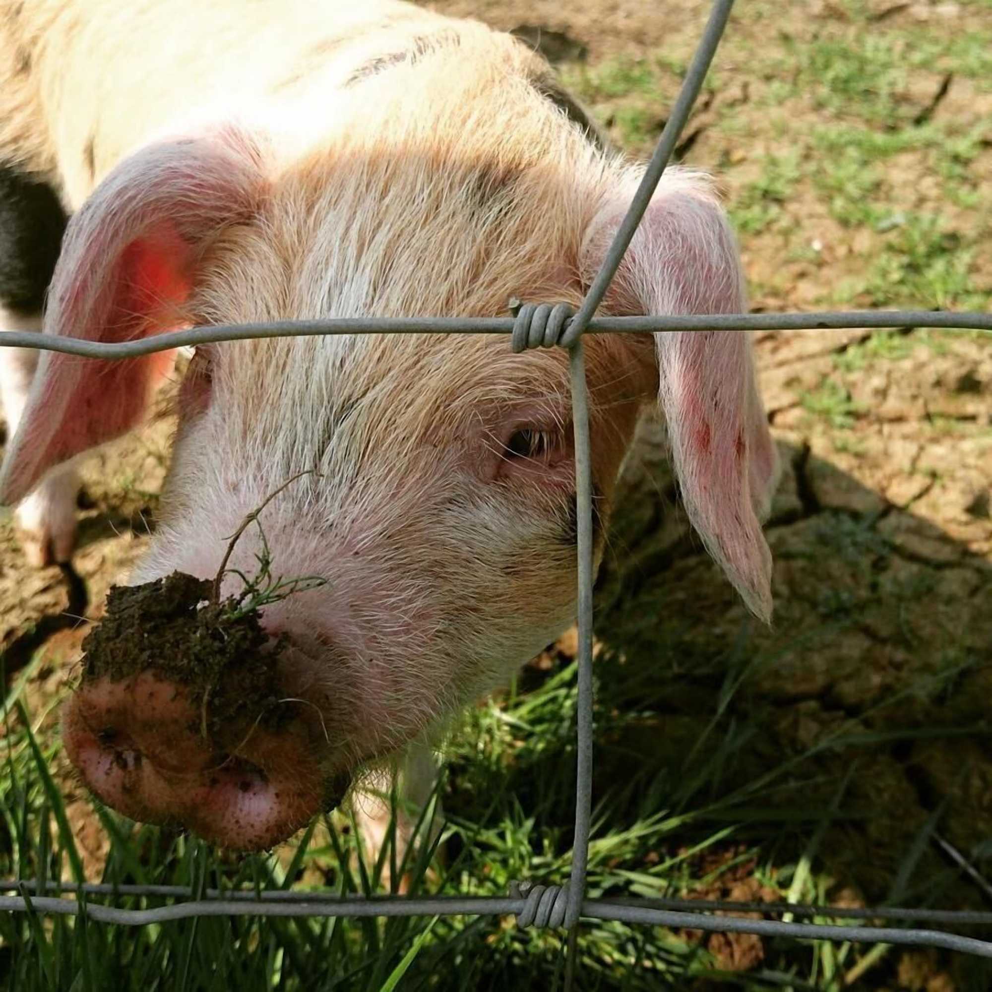 Gift card for The Moonraker Hotel Gift card for The Moonraker Hotel