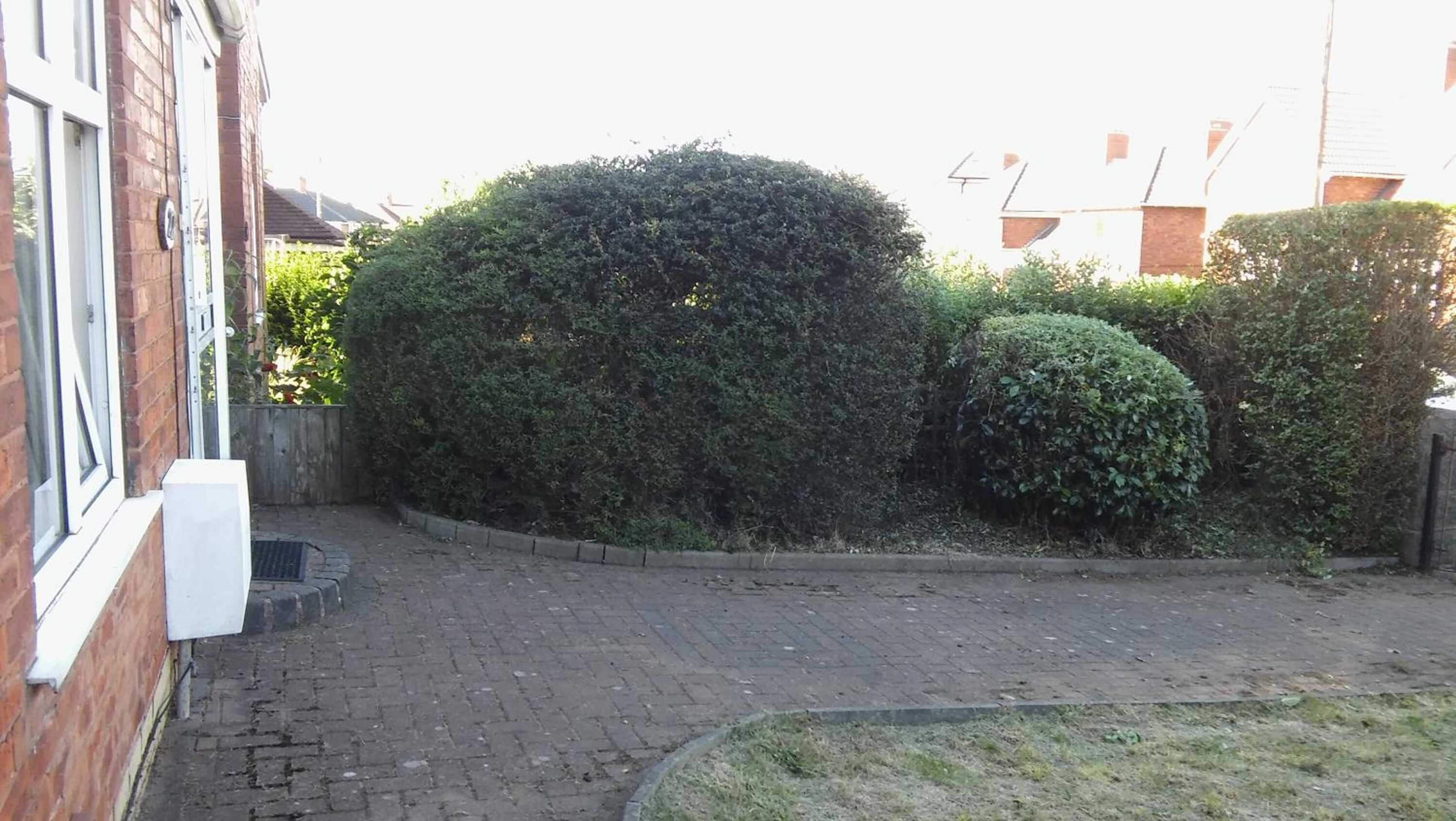 Gift card for Willodean