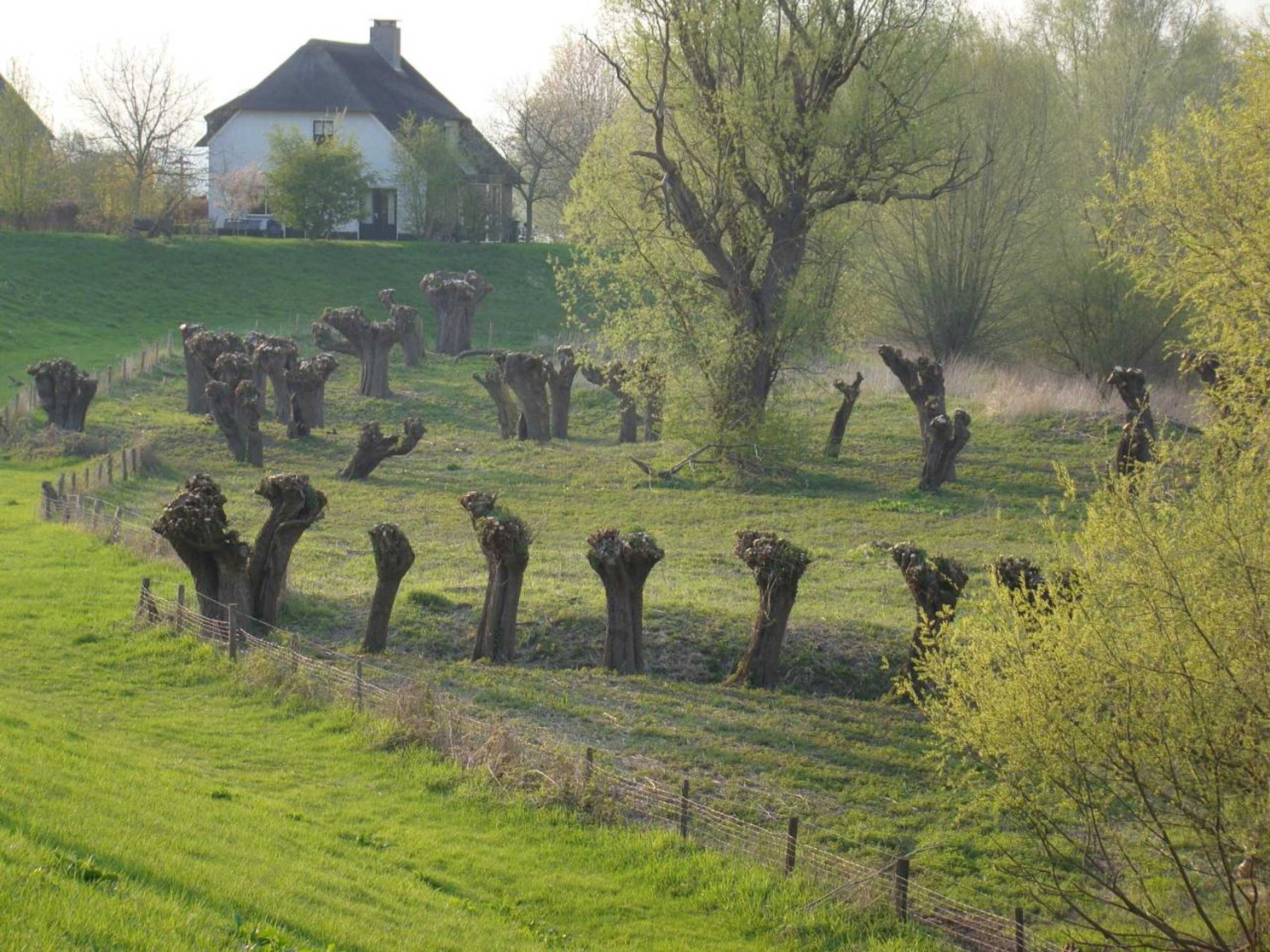 Gift card for Hotel Restaurant Oortjeshekken