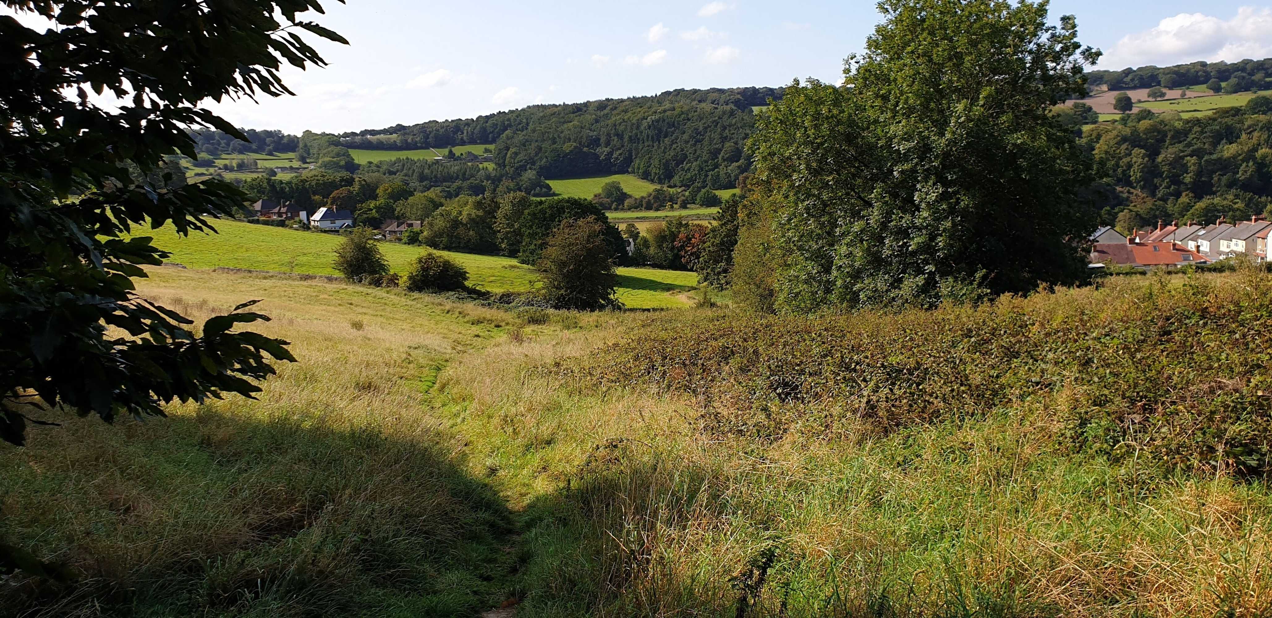 Gift card for The Strutt Arms